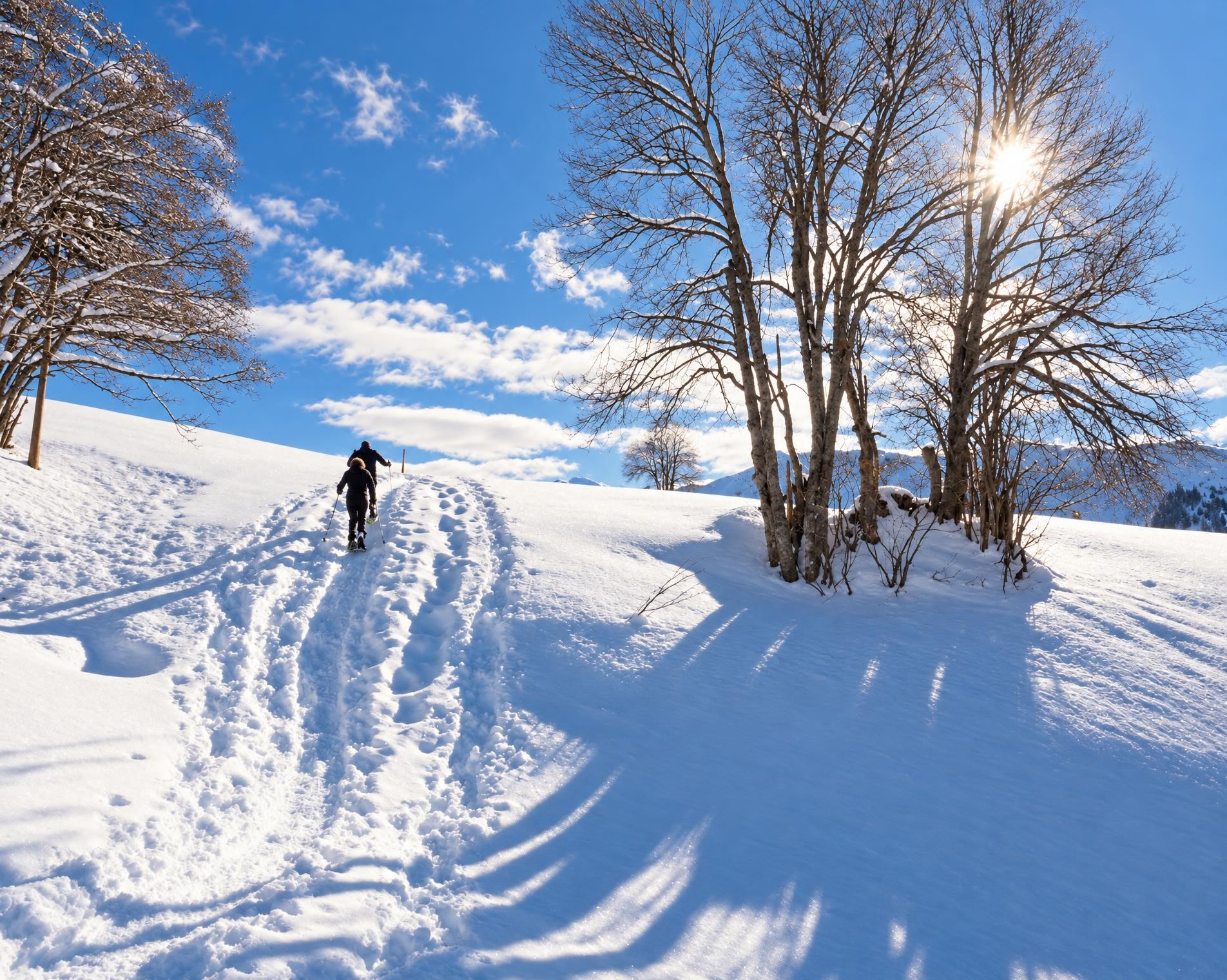 Alpenrösli Trail