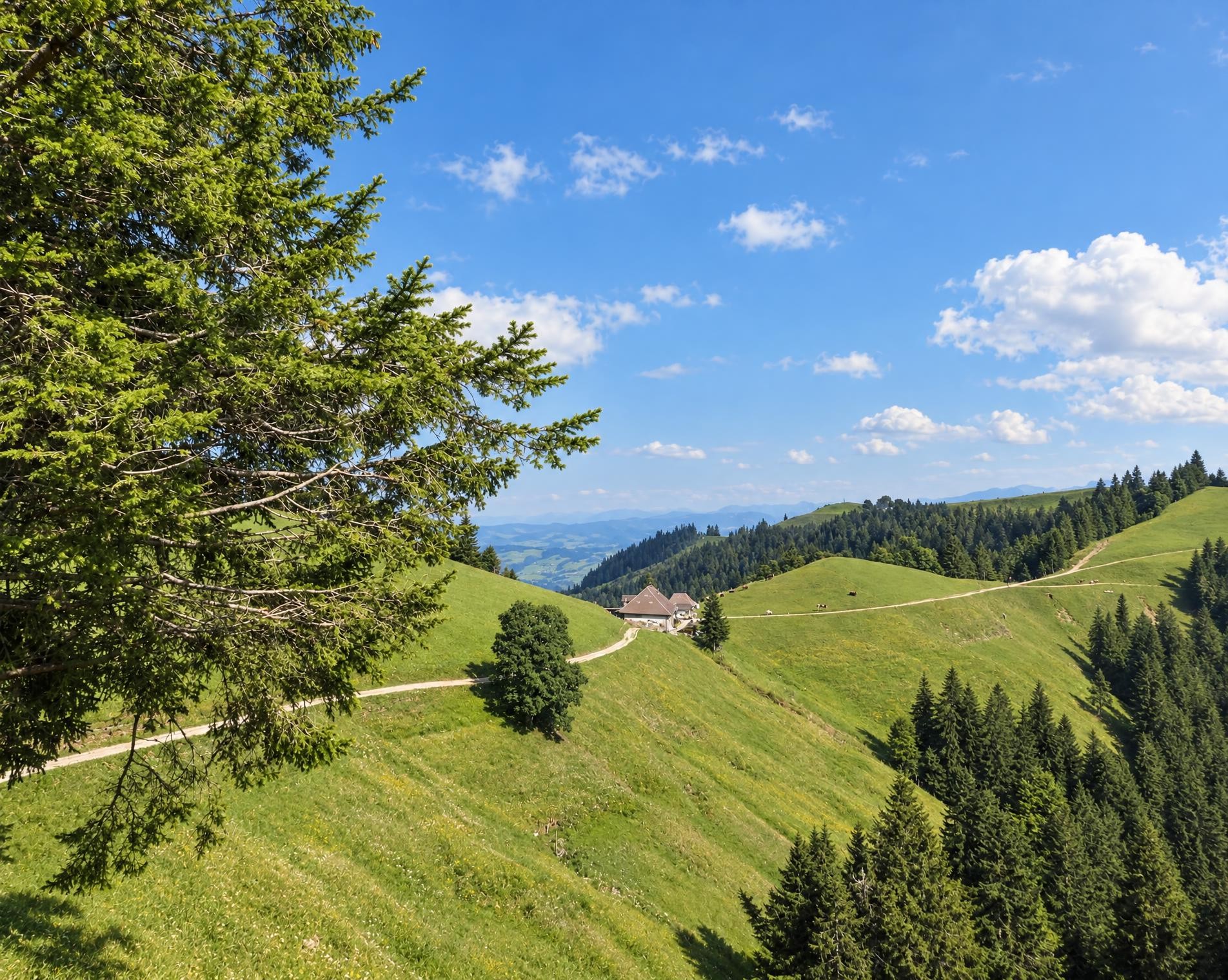 Alpine Panorama Trail, Stage 13/29