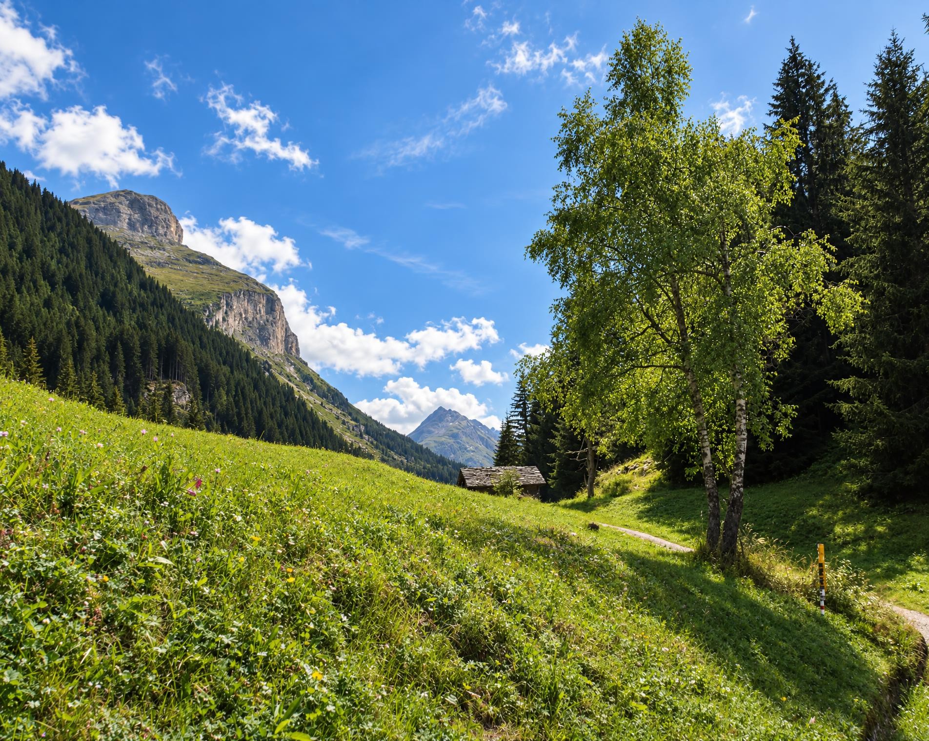 Alpine Passes Trail, Stage 4/43