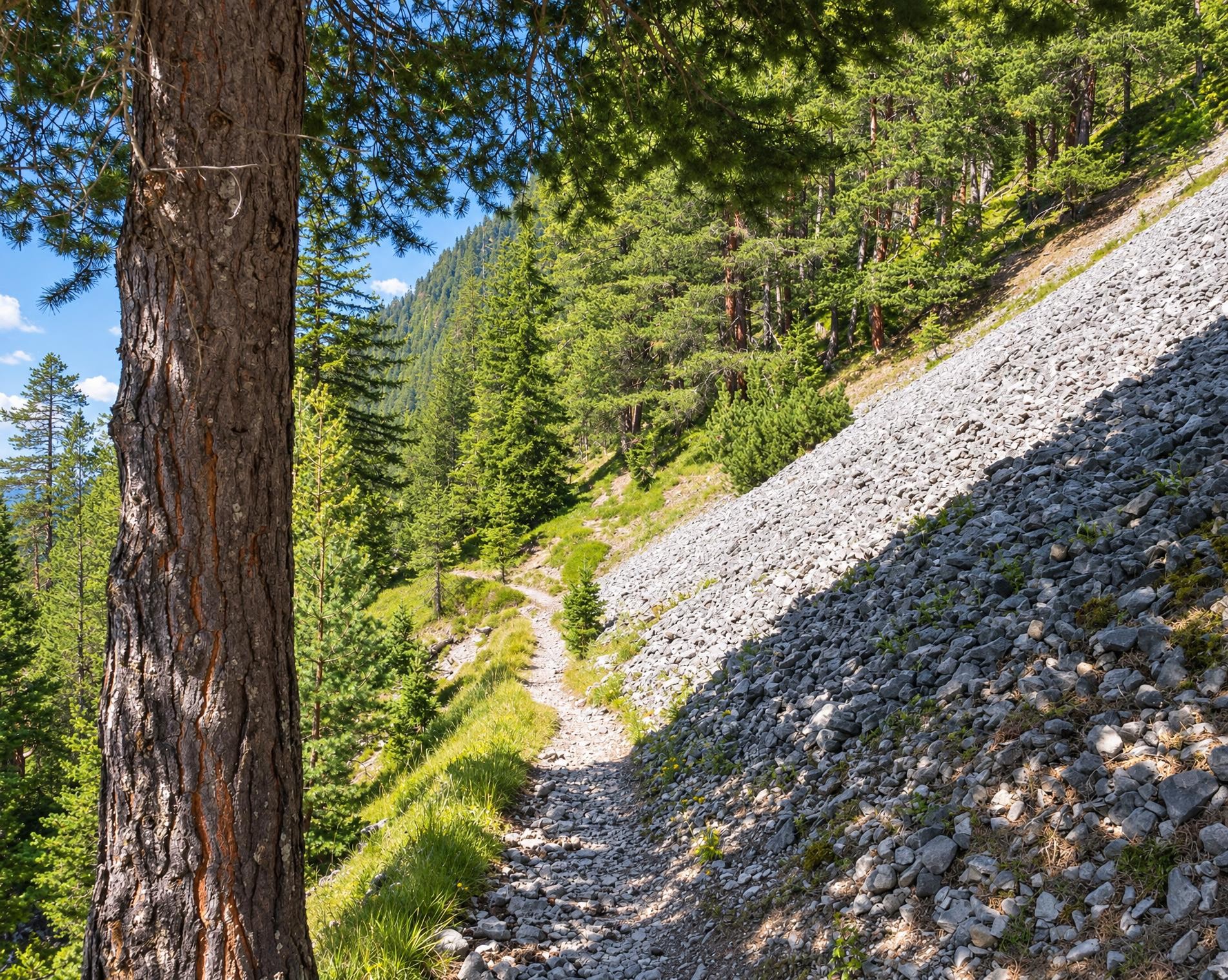 Alter Zügenweg
