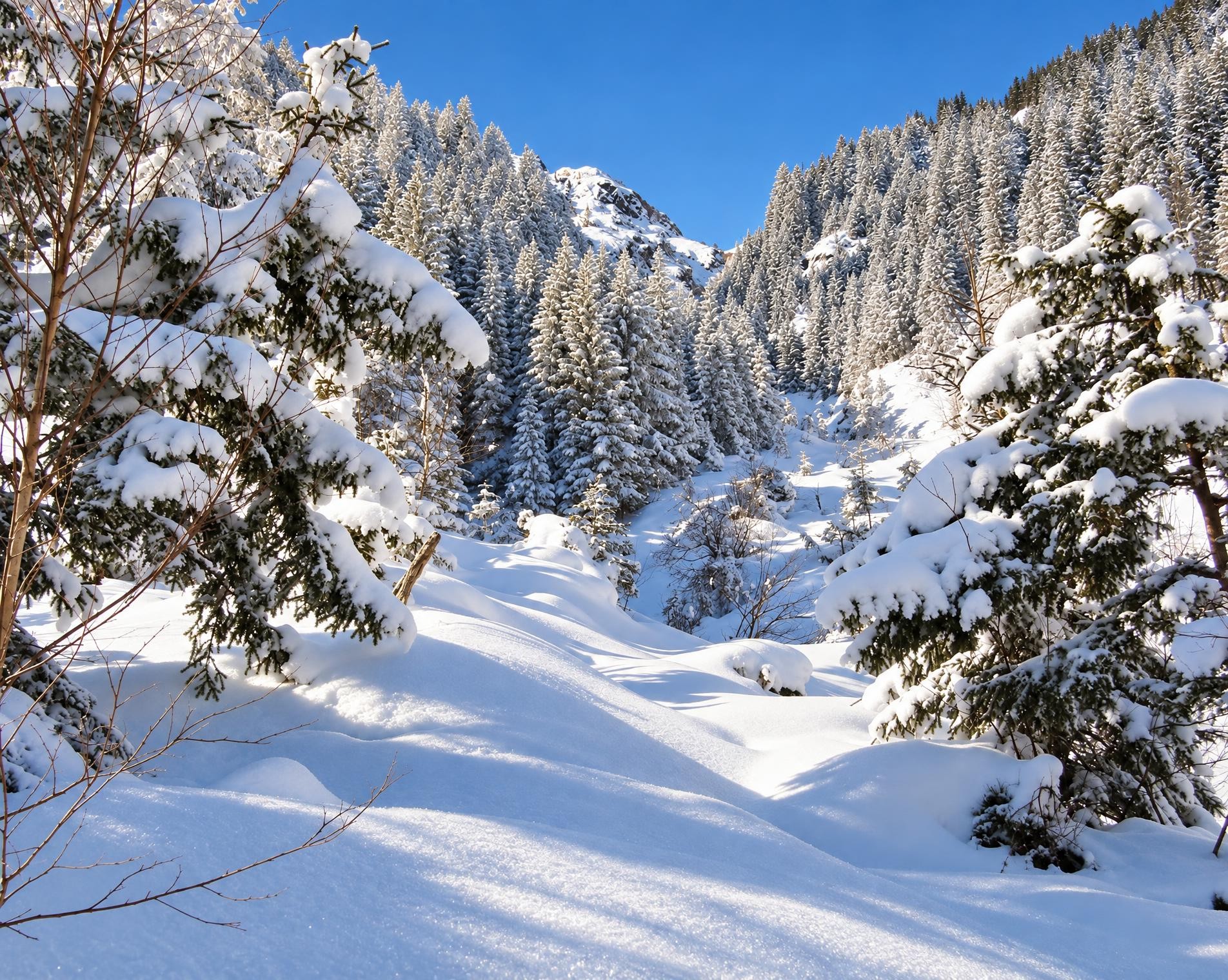 Arnisee-Weg