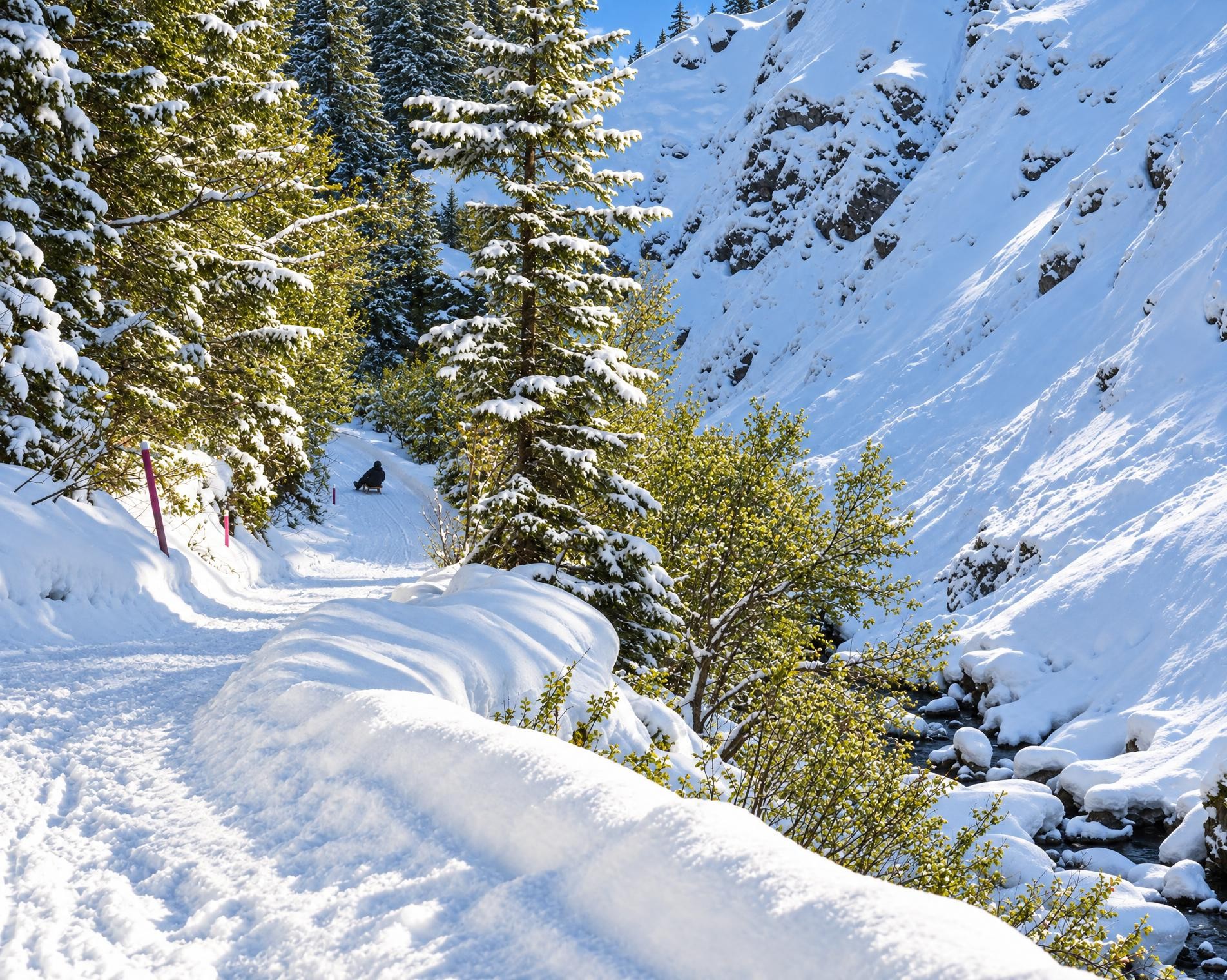 Arosa-Litzirüti-Schlittelweg