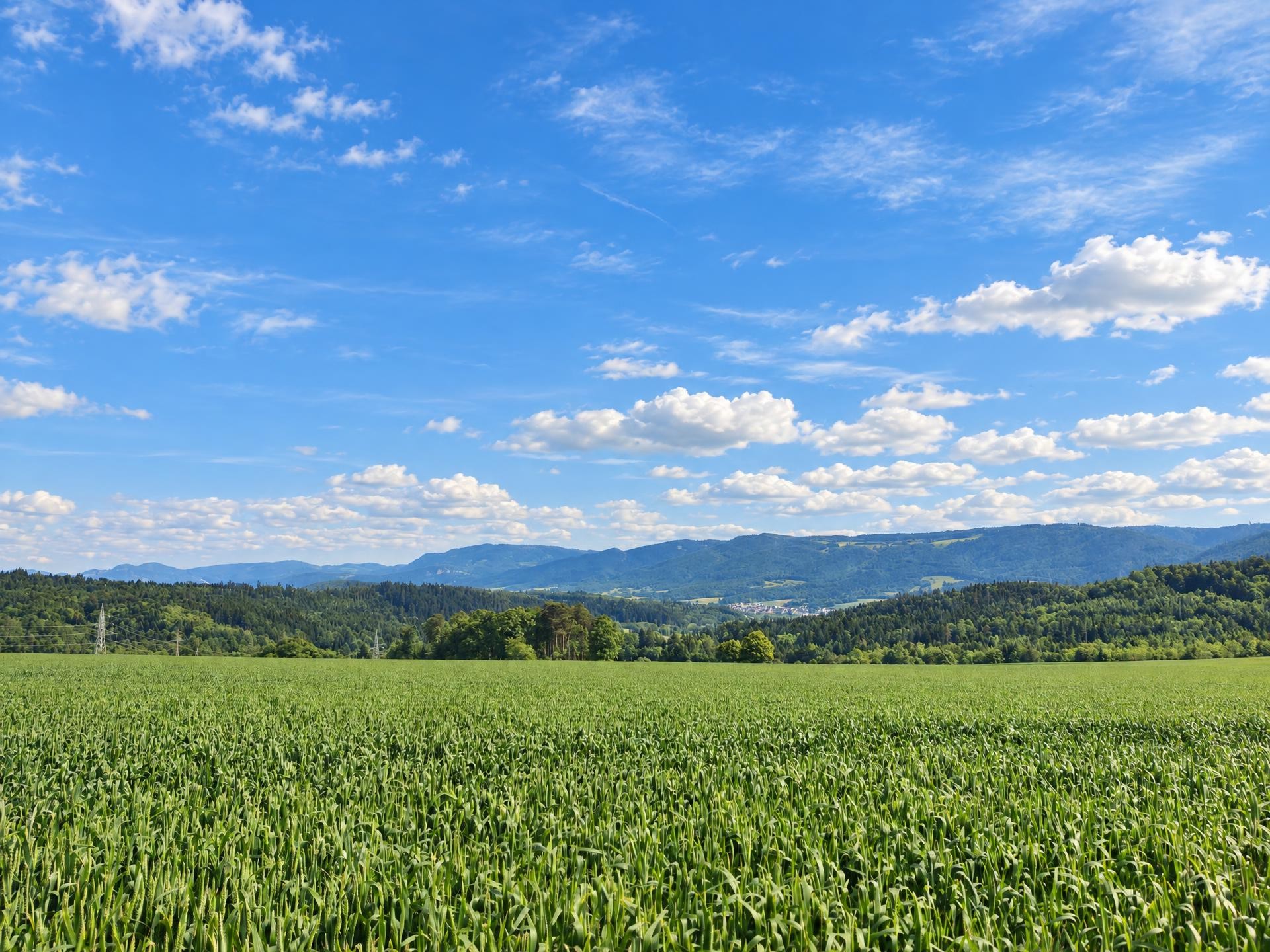Séprais Walk (Boécourt)