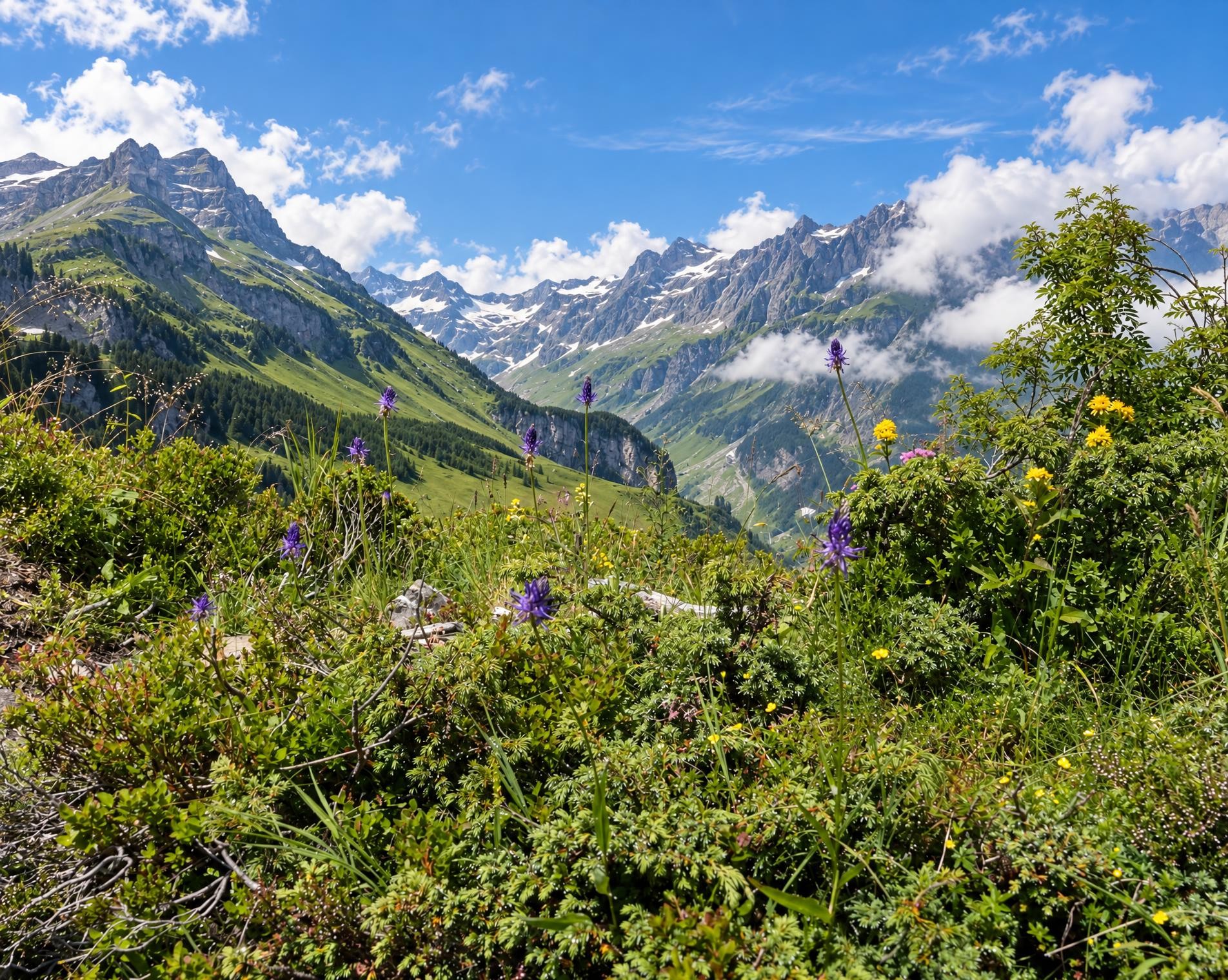Braunwald Panoramaweg