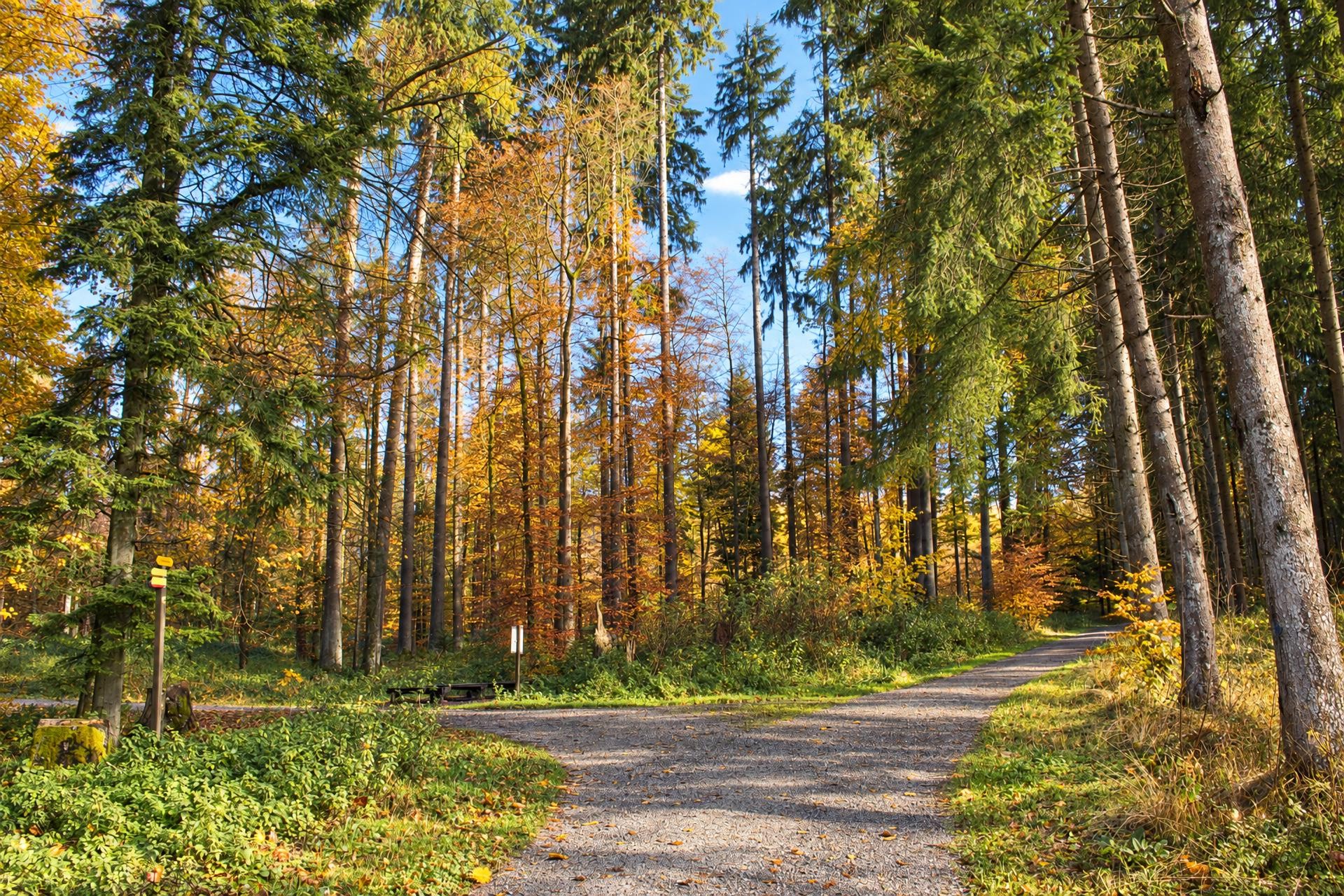 Bremer-Loop – Route Blau