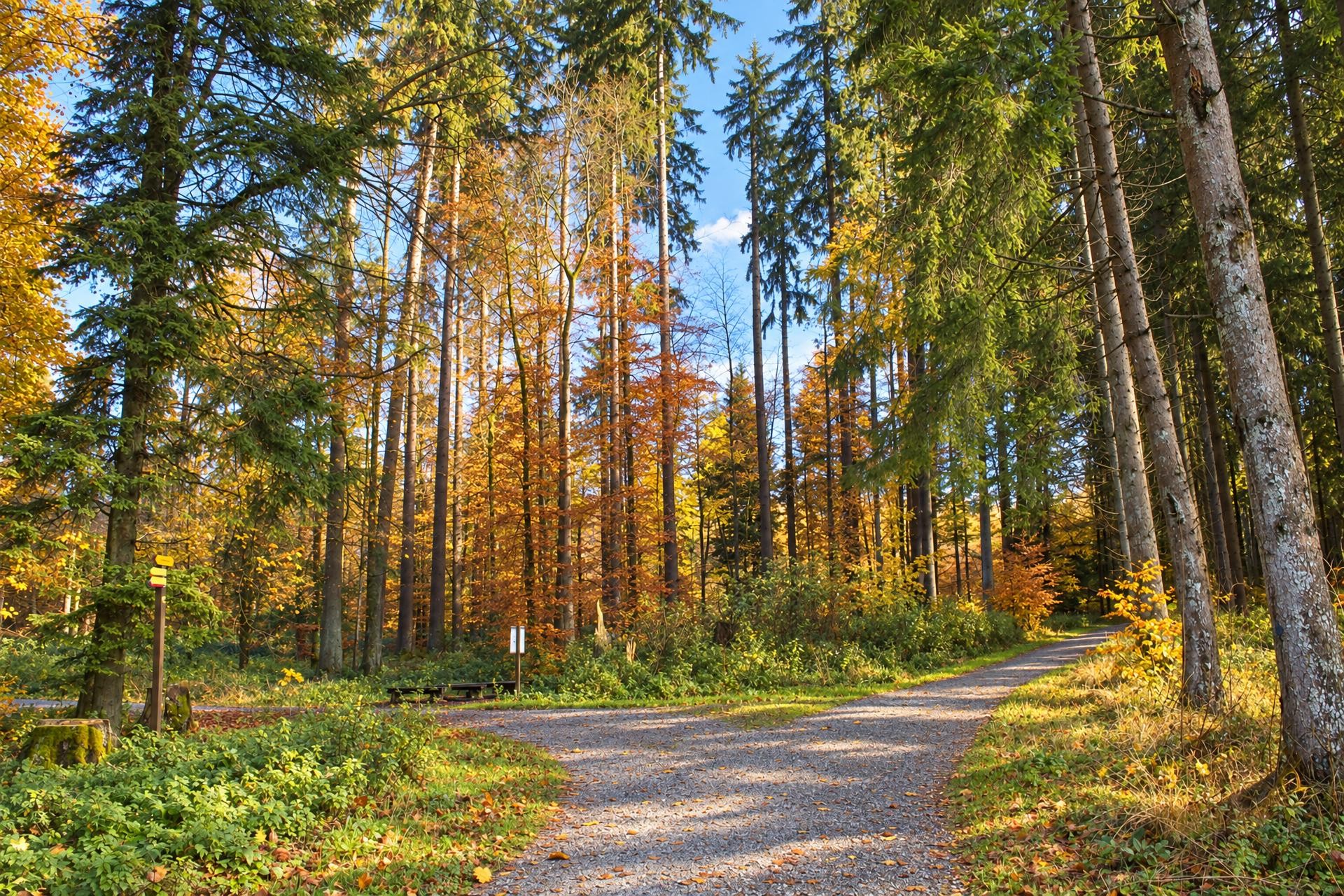 Bremer-Loop – Route Orange