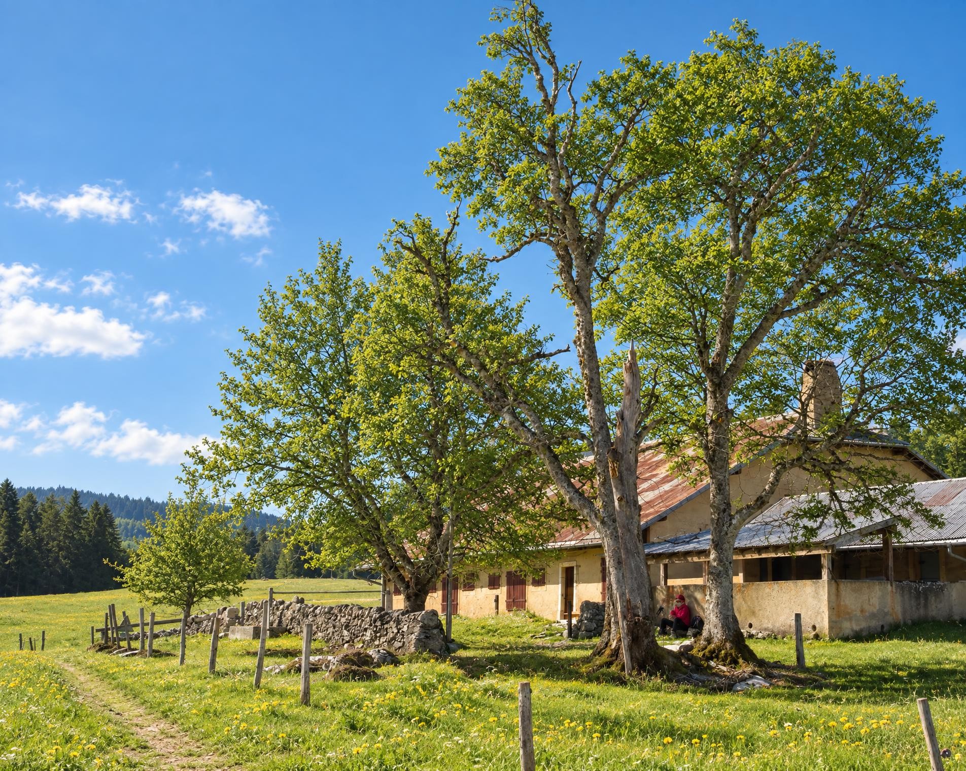 Chemin Col du Mollendruz–Vernant