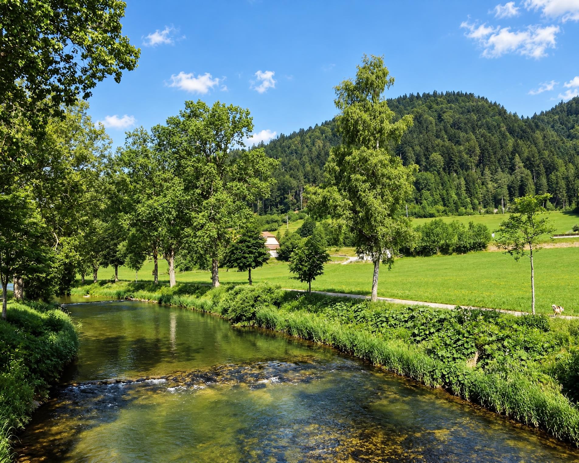 Chemin de l'Areuse