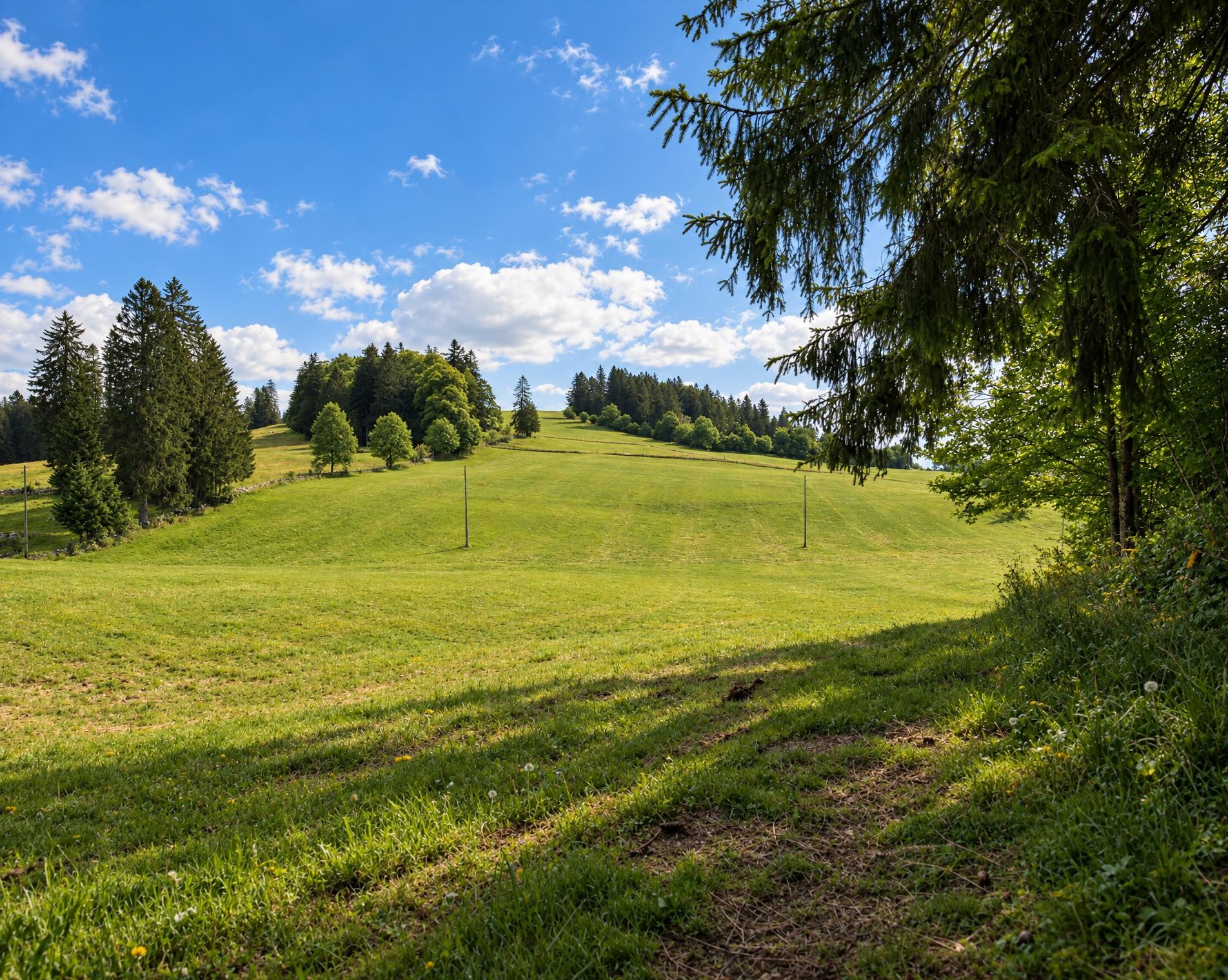 Chemin de Mont-Soleil