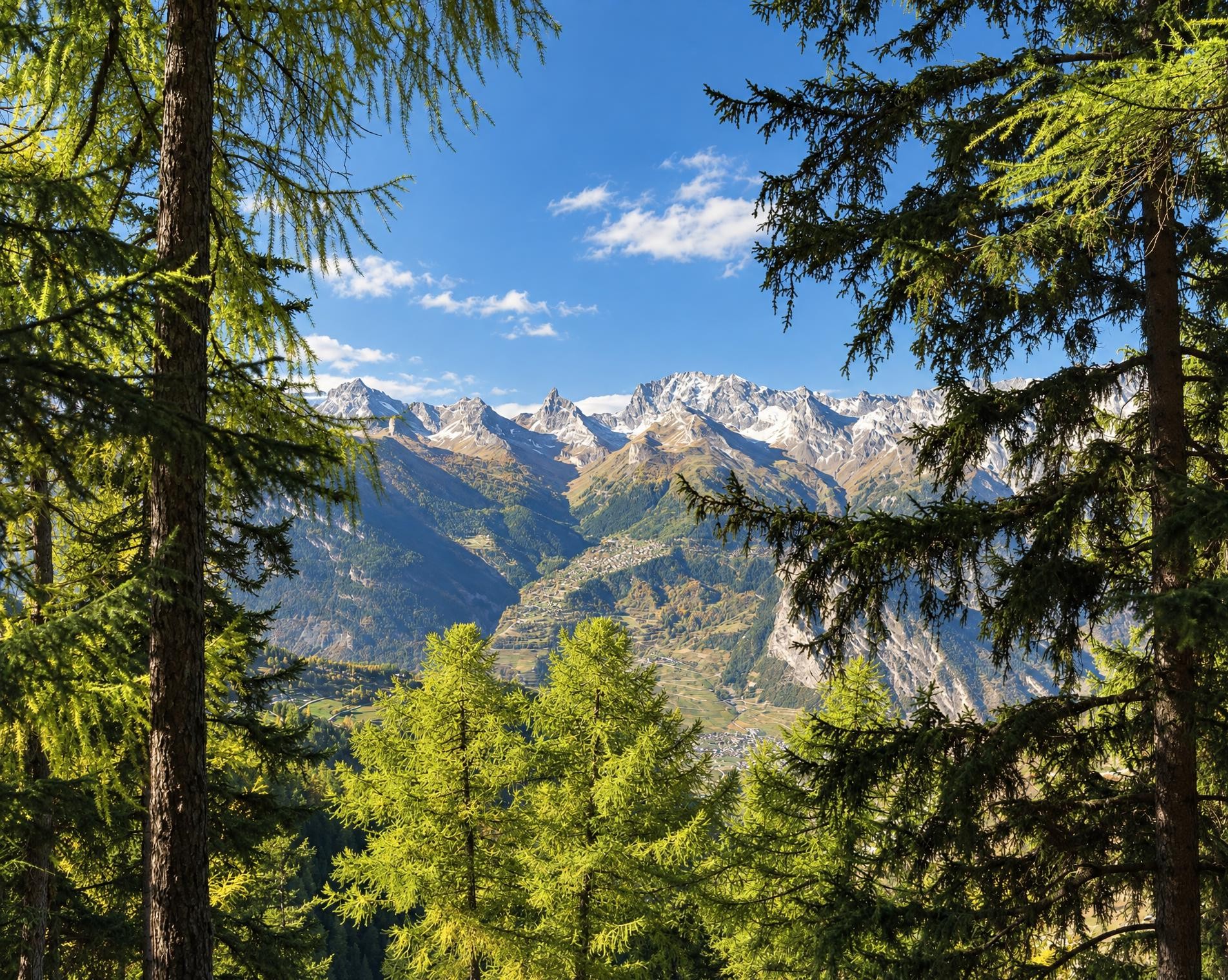 Chemin des Bisses
