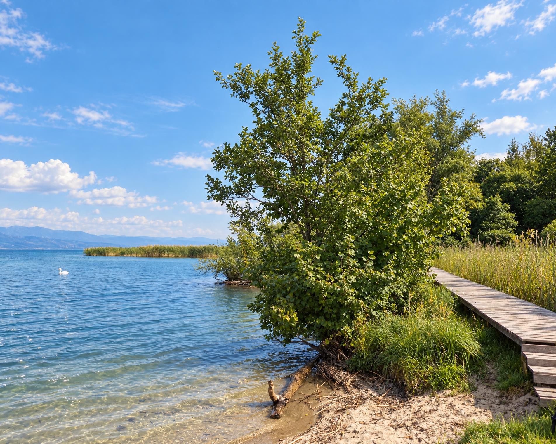 Chemin des Trois-Lacs, Etappe 1/3