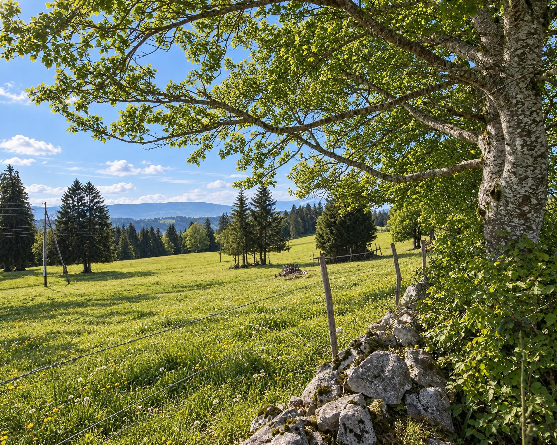 Chemin du Jura bernois