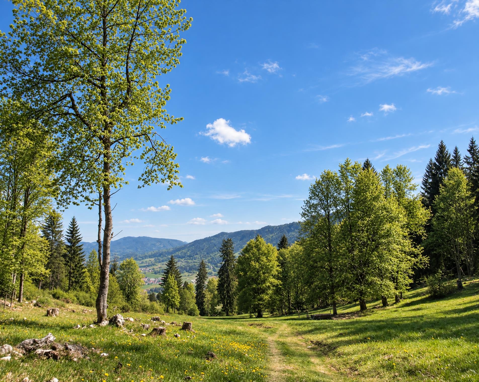 Chemin du Jura bernois, Stage 1/4