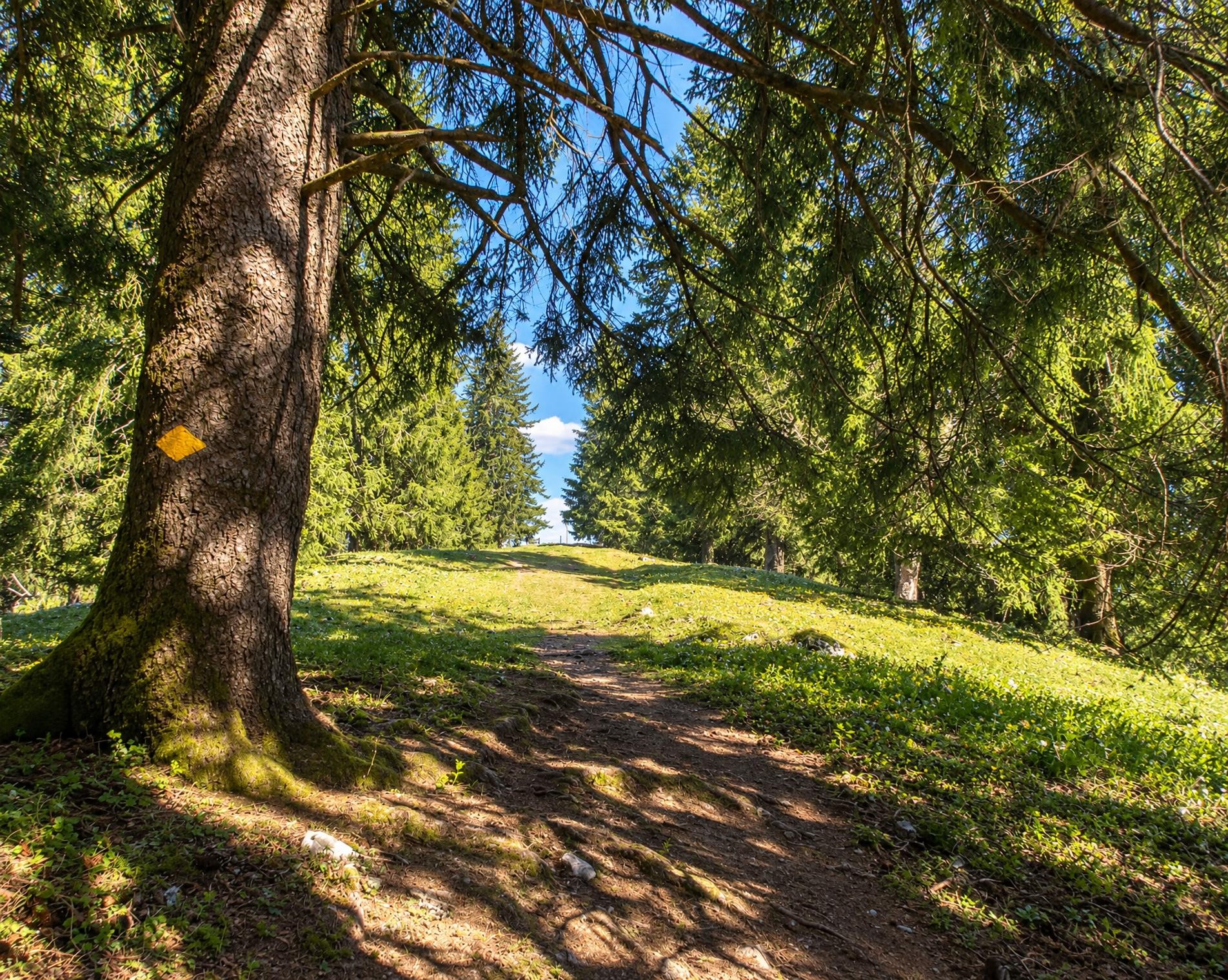 Chemin du Jura bernois, Stage 2/4