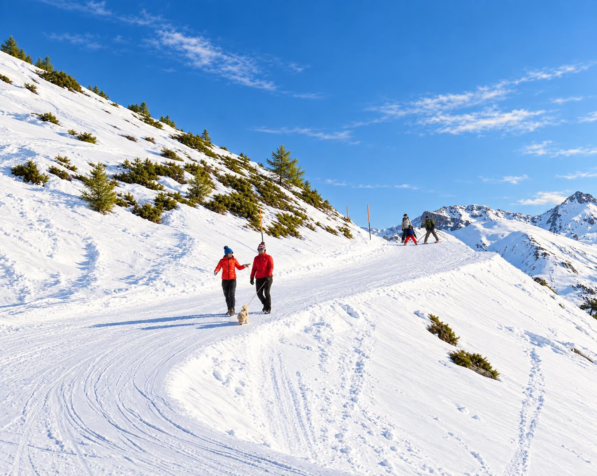 Chemin Grands Plans–Grimentz