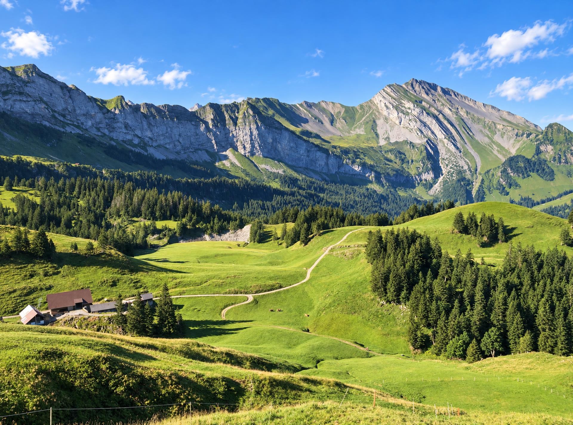 The Easy Route: Choltal–Hohberg–Niederbauen
