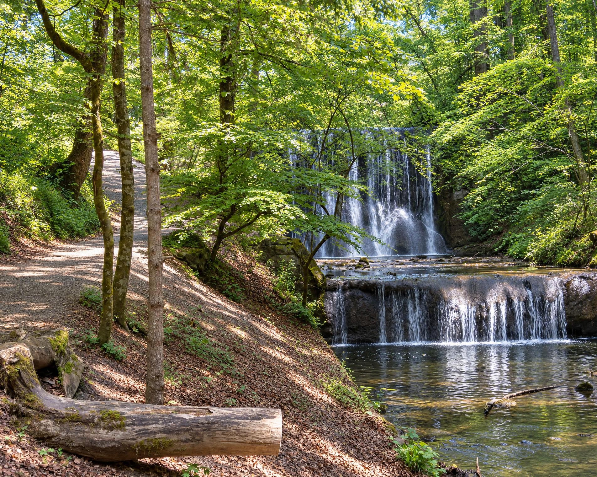Erlenbach-Küsnacht Tobelweg