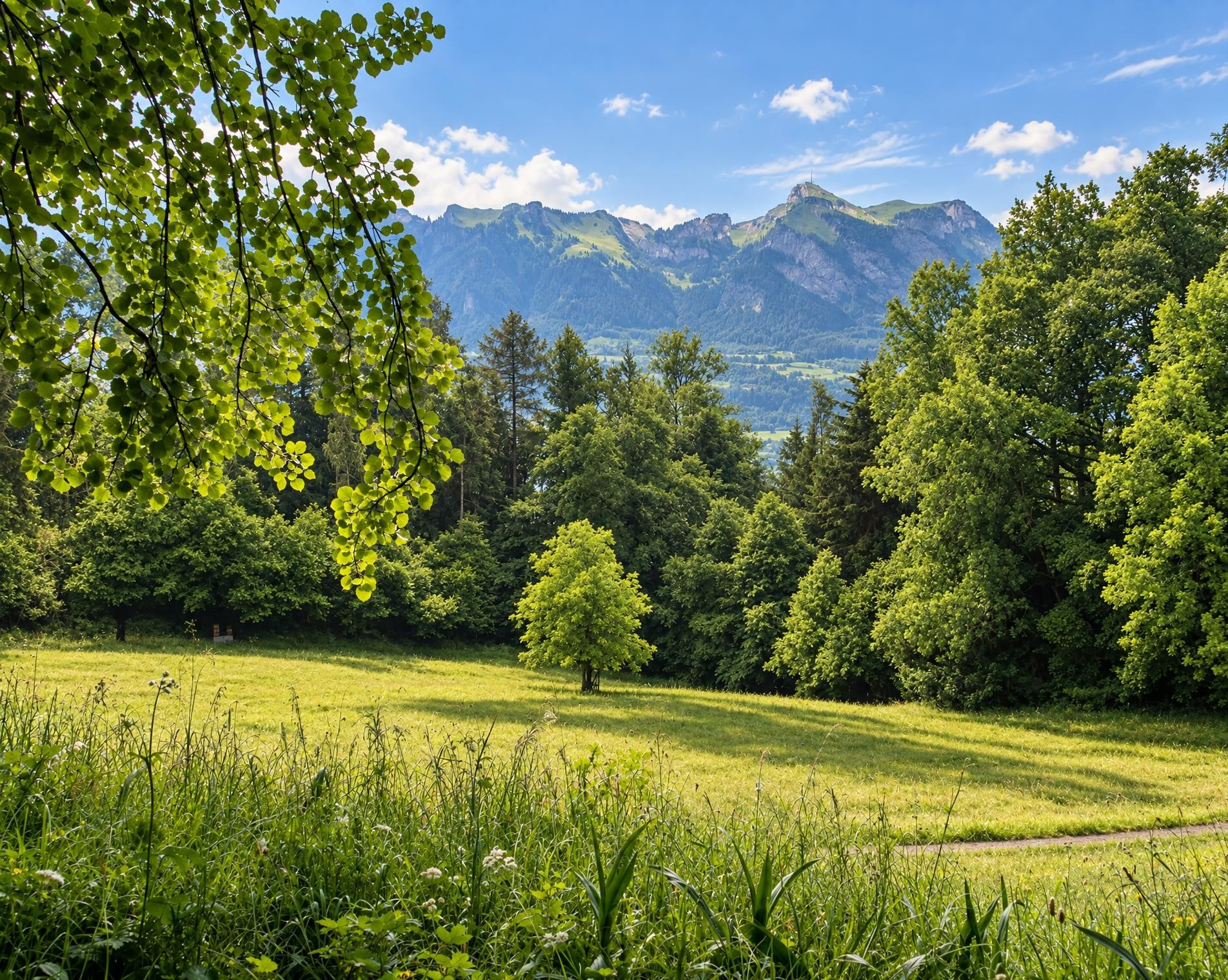 Eschnerberg-Höhenweg