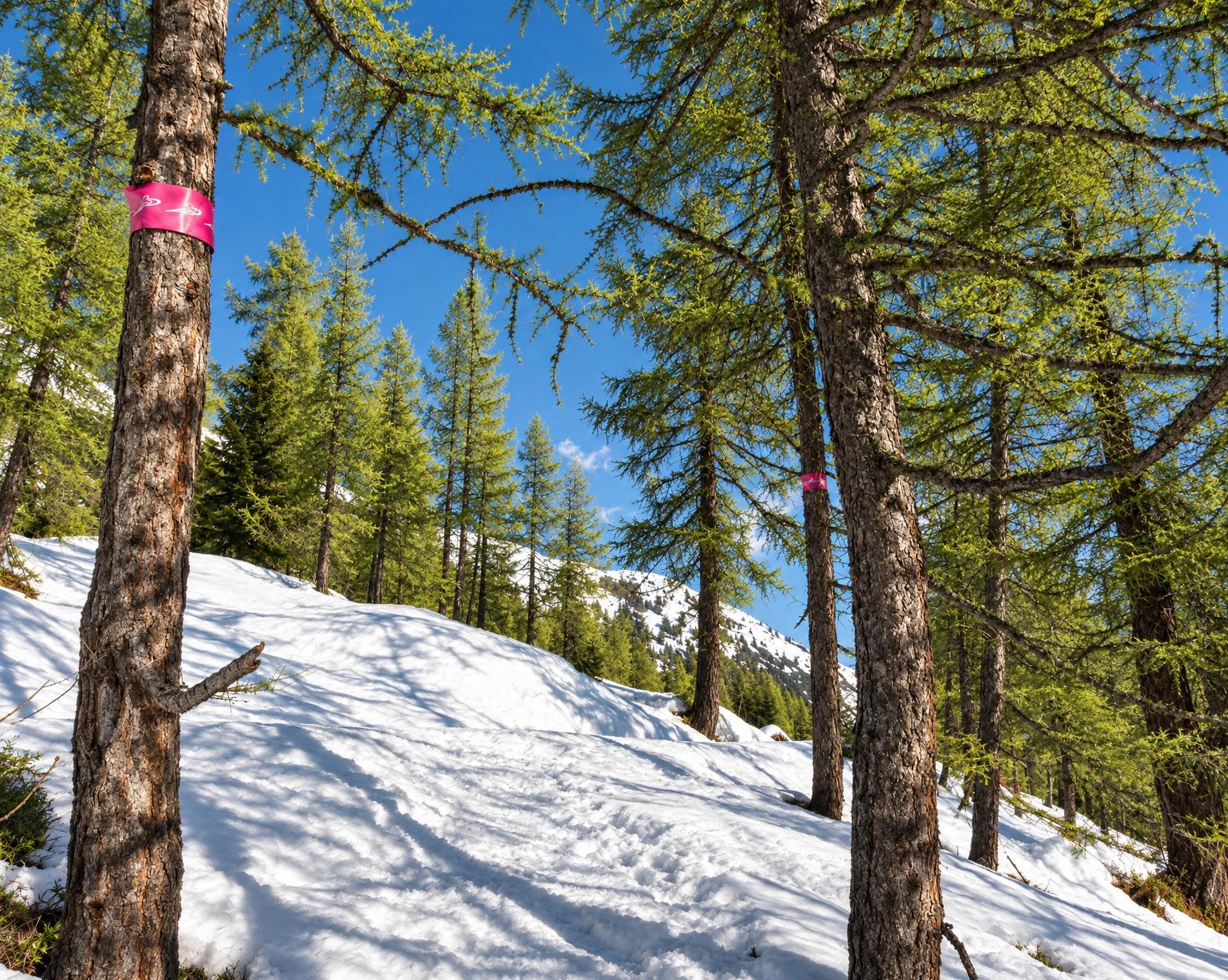 Fleschen Trail