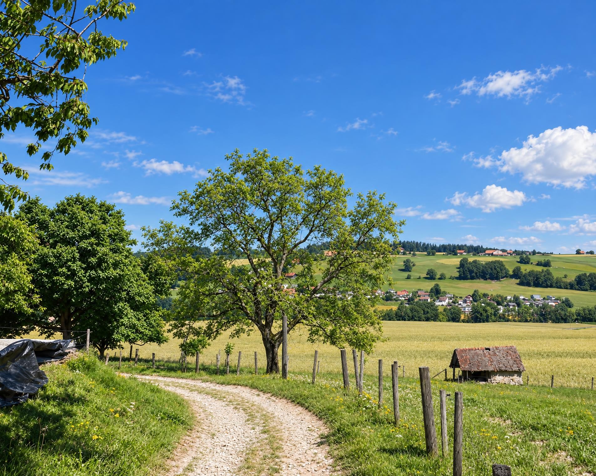 Fribourg en diagonale, Etappe 3/3