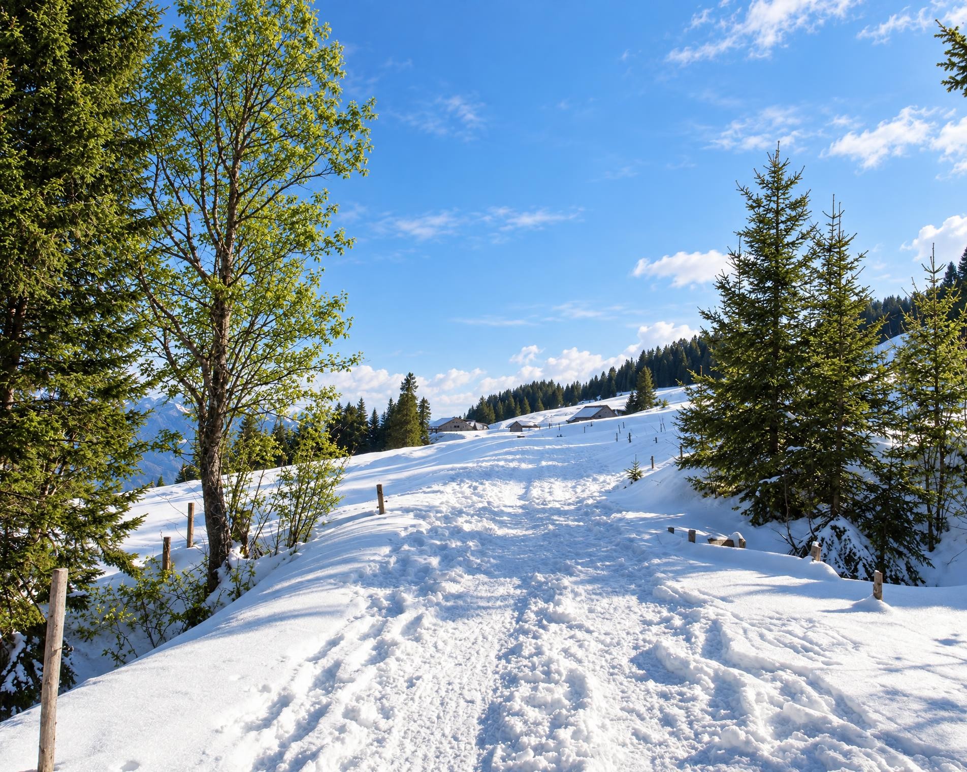 Gampergalt Trail