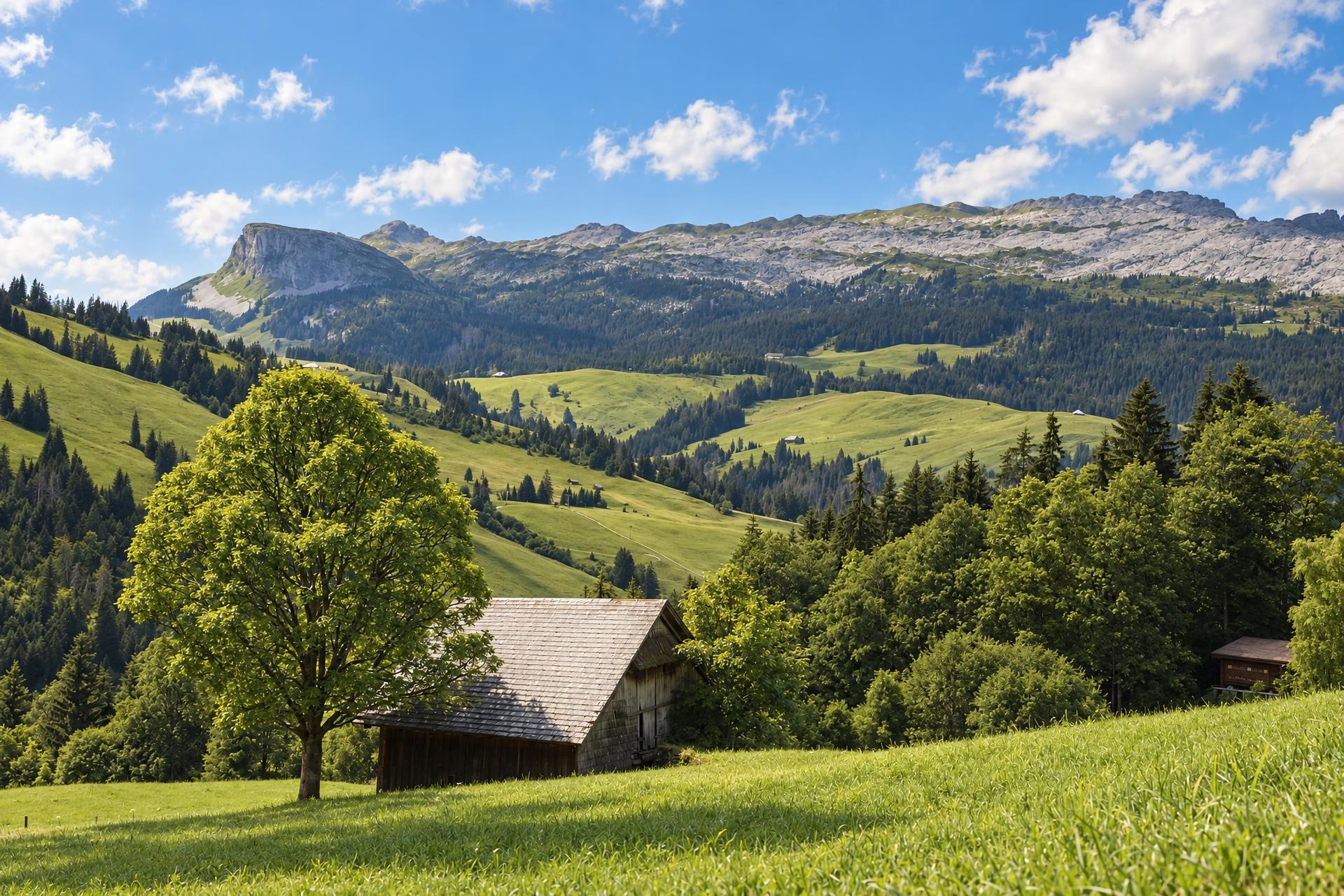 Sörenberg Culinary Circular Hike