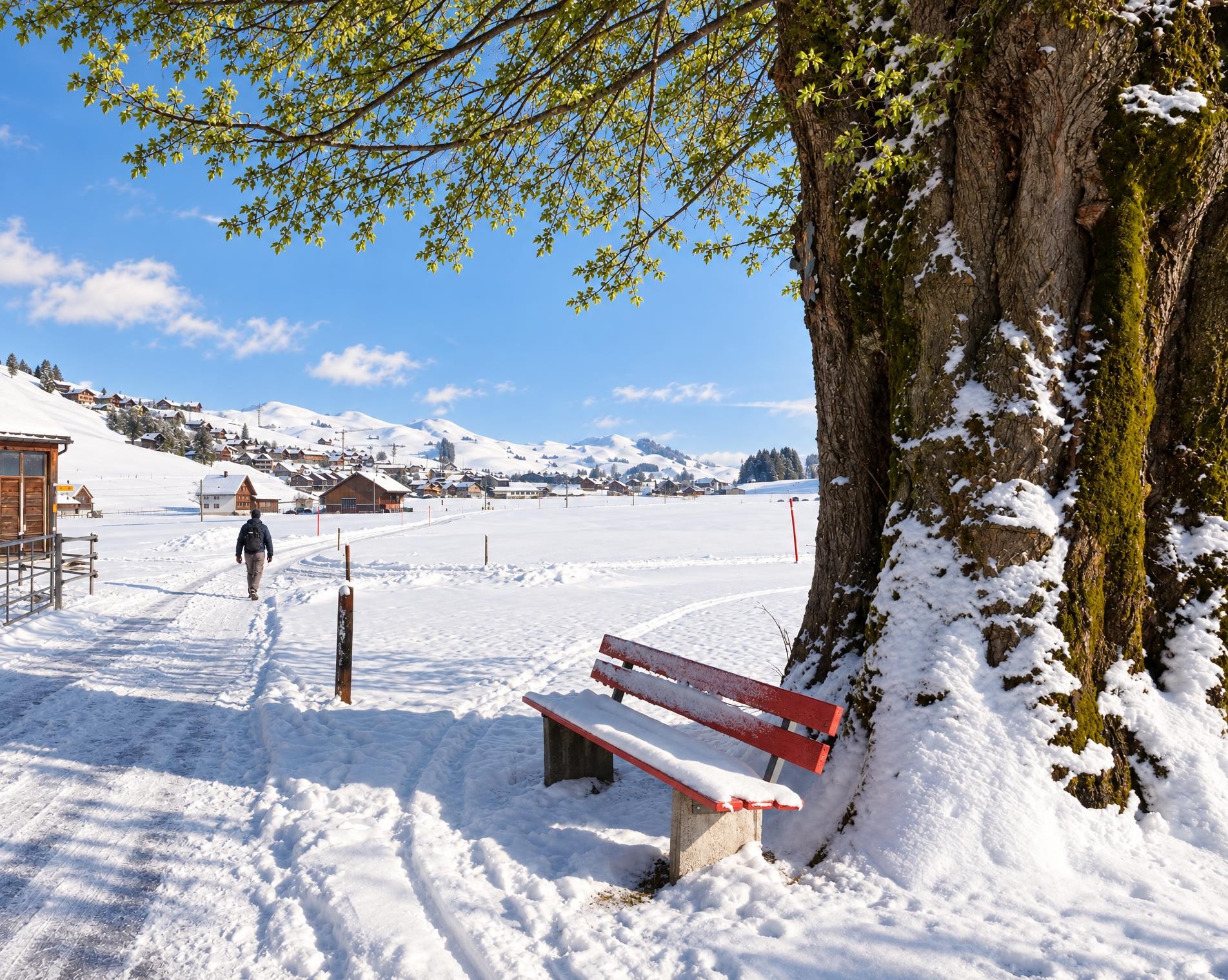 Gontenmoos-Winterwanderweg