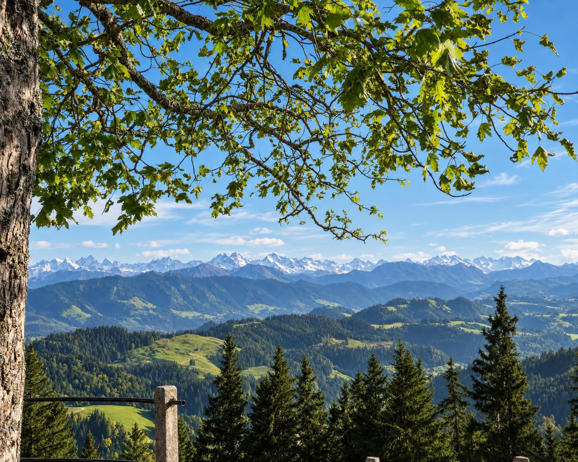 Grenzpfad Napfbergland