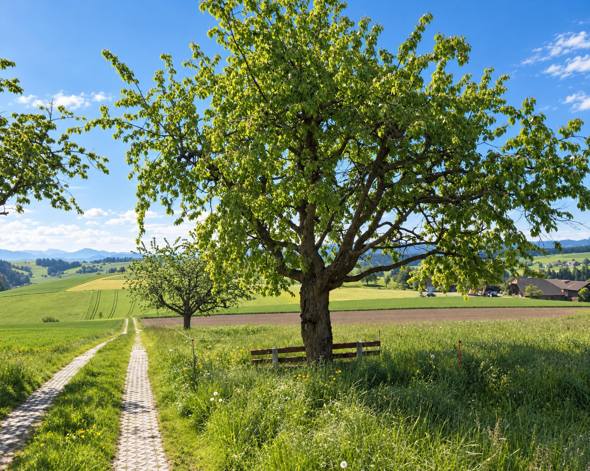 Grenzpfad Napfbergland, Etappe 1/6