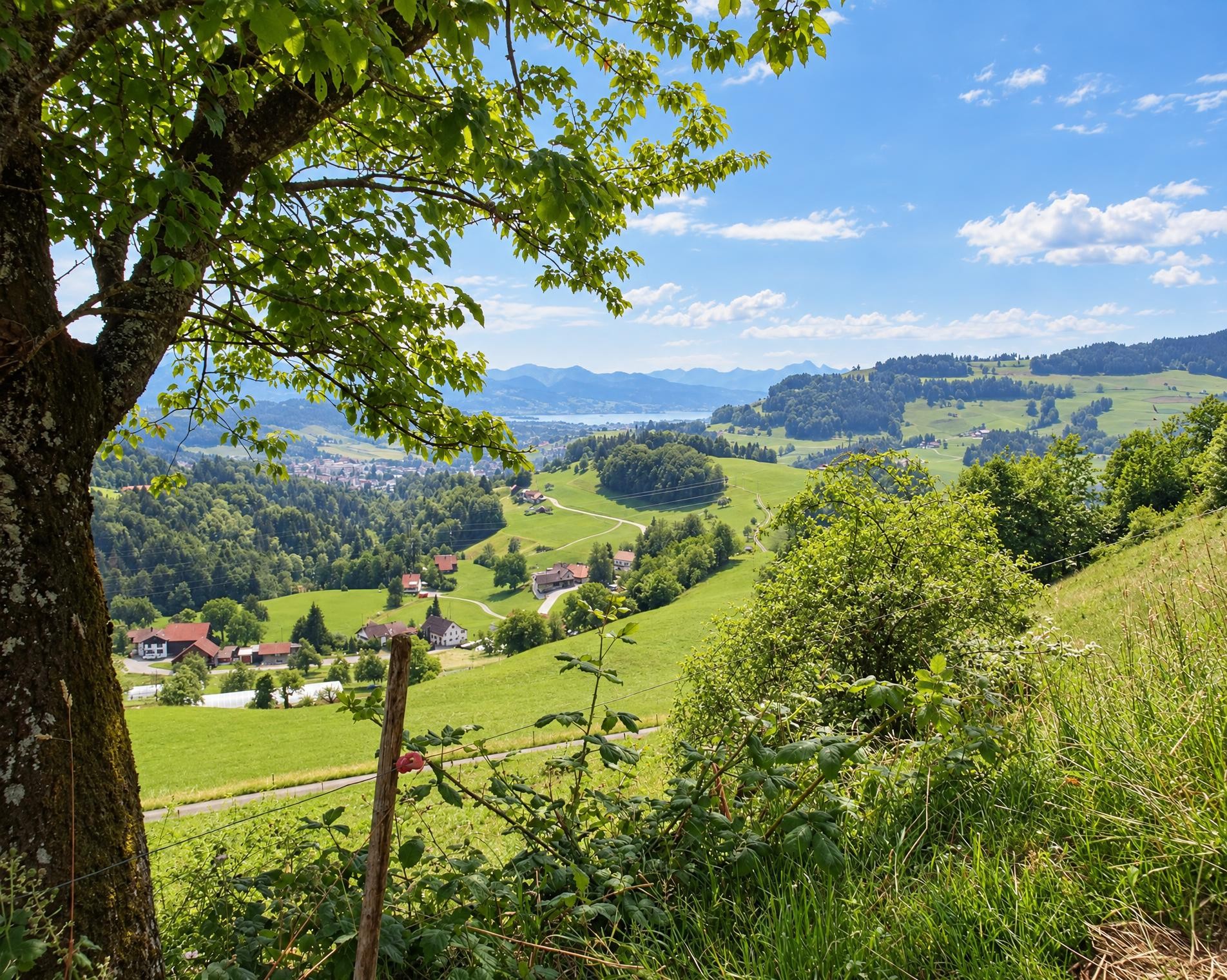 Hüttchopf Weg