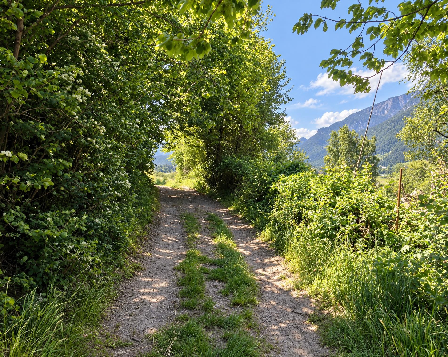 Jakobsweg Graubünden, Stage 12/19
