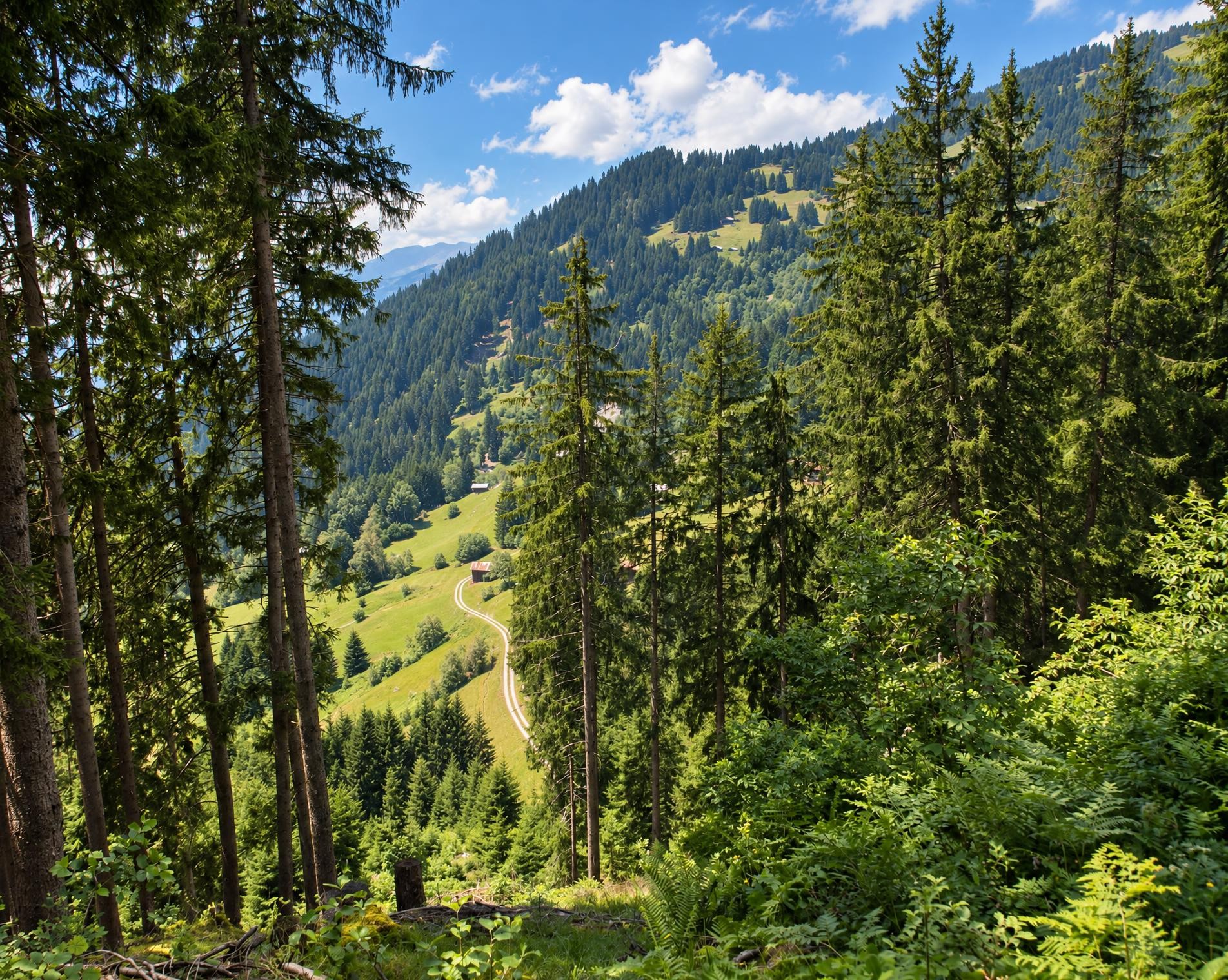 Jakobsweg Graubünden, Stage 15/19
