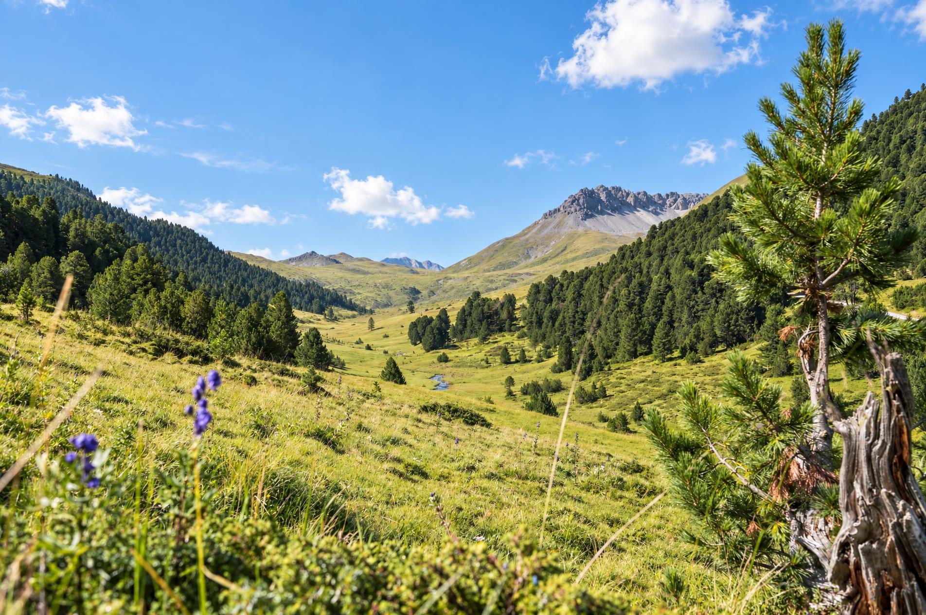 Jakobsweg Graubünden, Stage 2/19