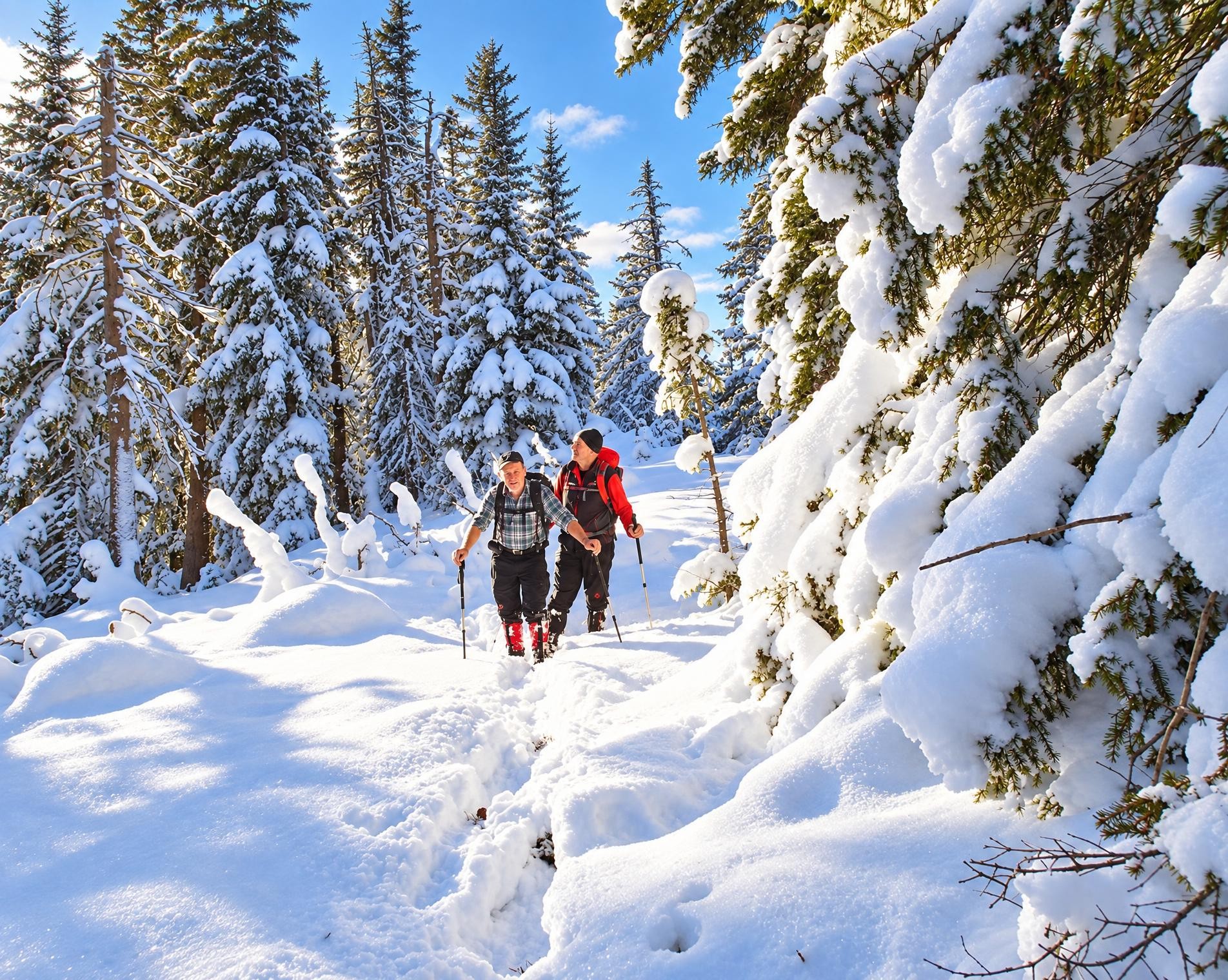 Jänzi Trail
