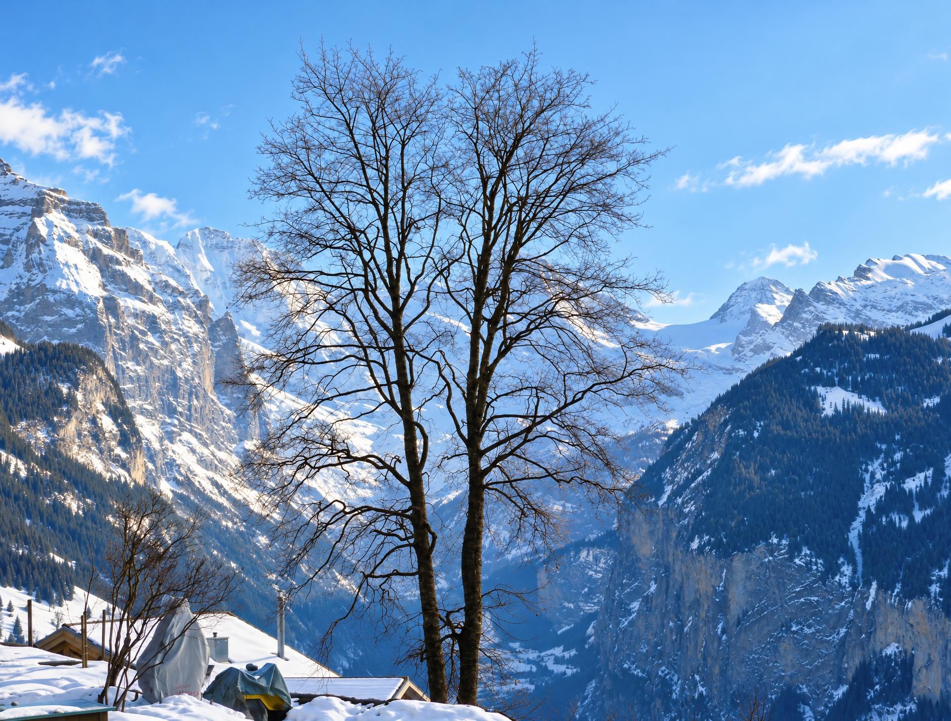 Jungfrau Klimaguide G (Wengen)