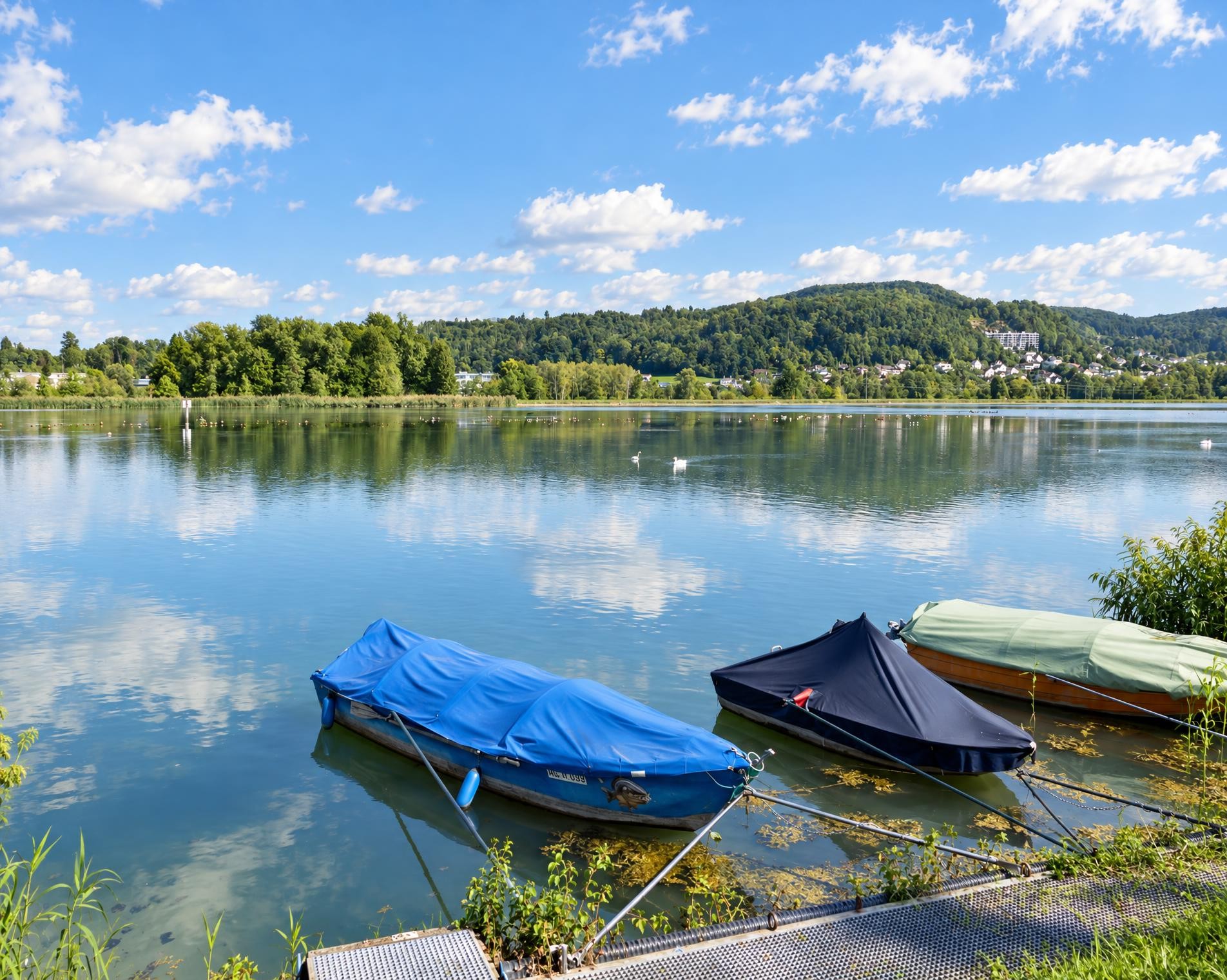 Klingnauer Uferweg