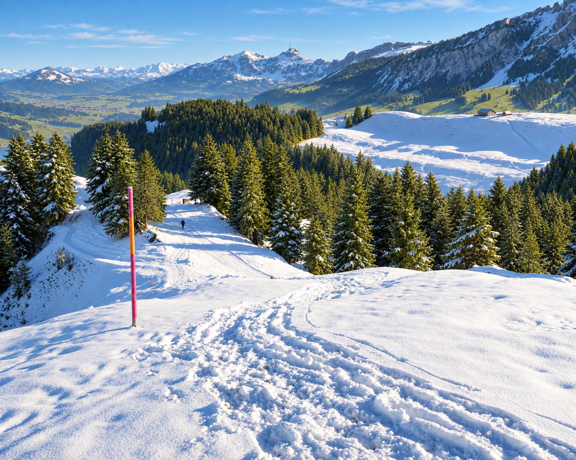 Kronberg-Winterwanderweg