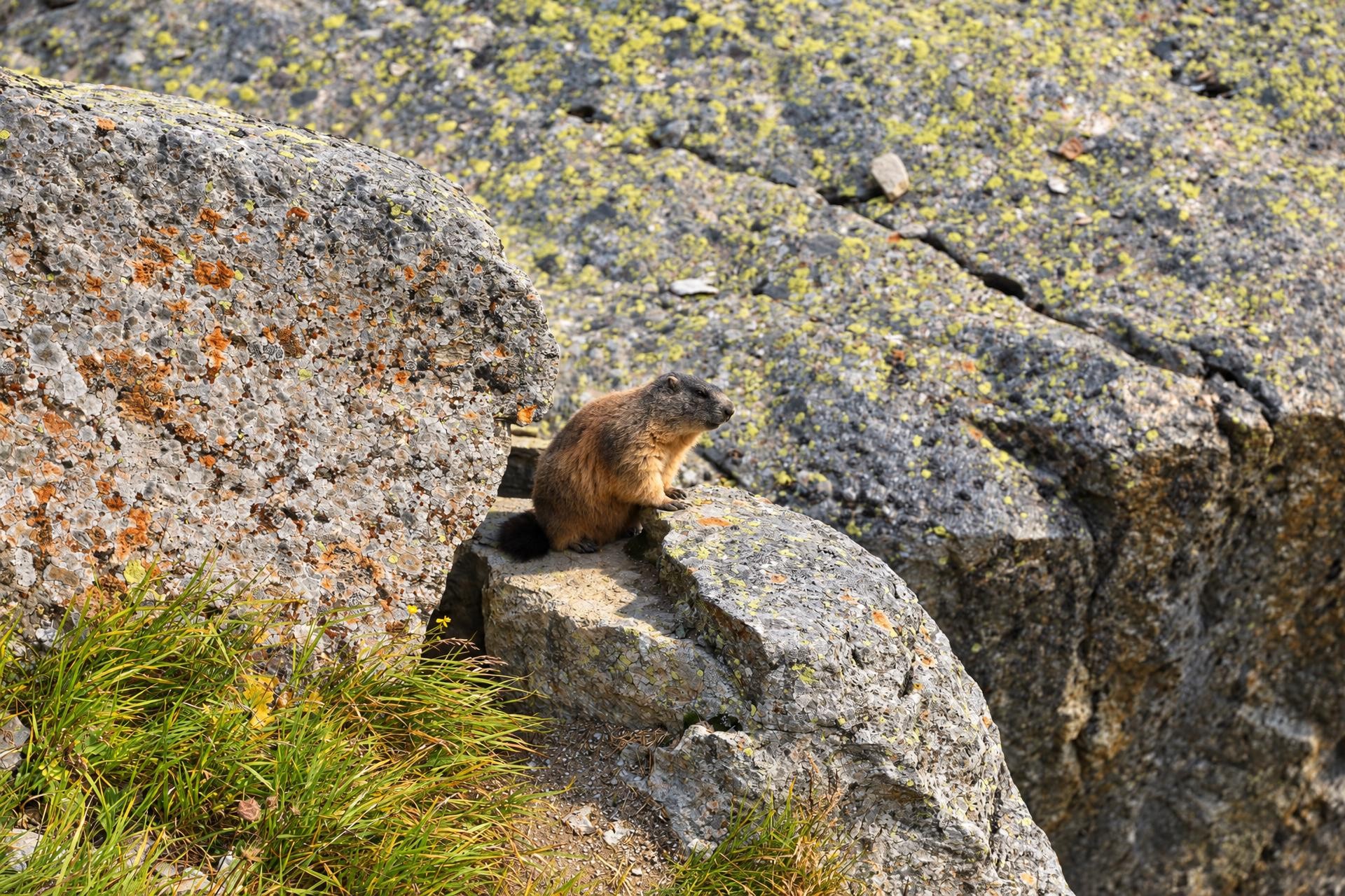 Following Ice Age Traces with Spiertin