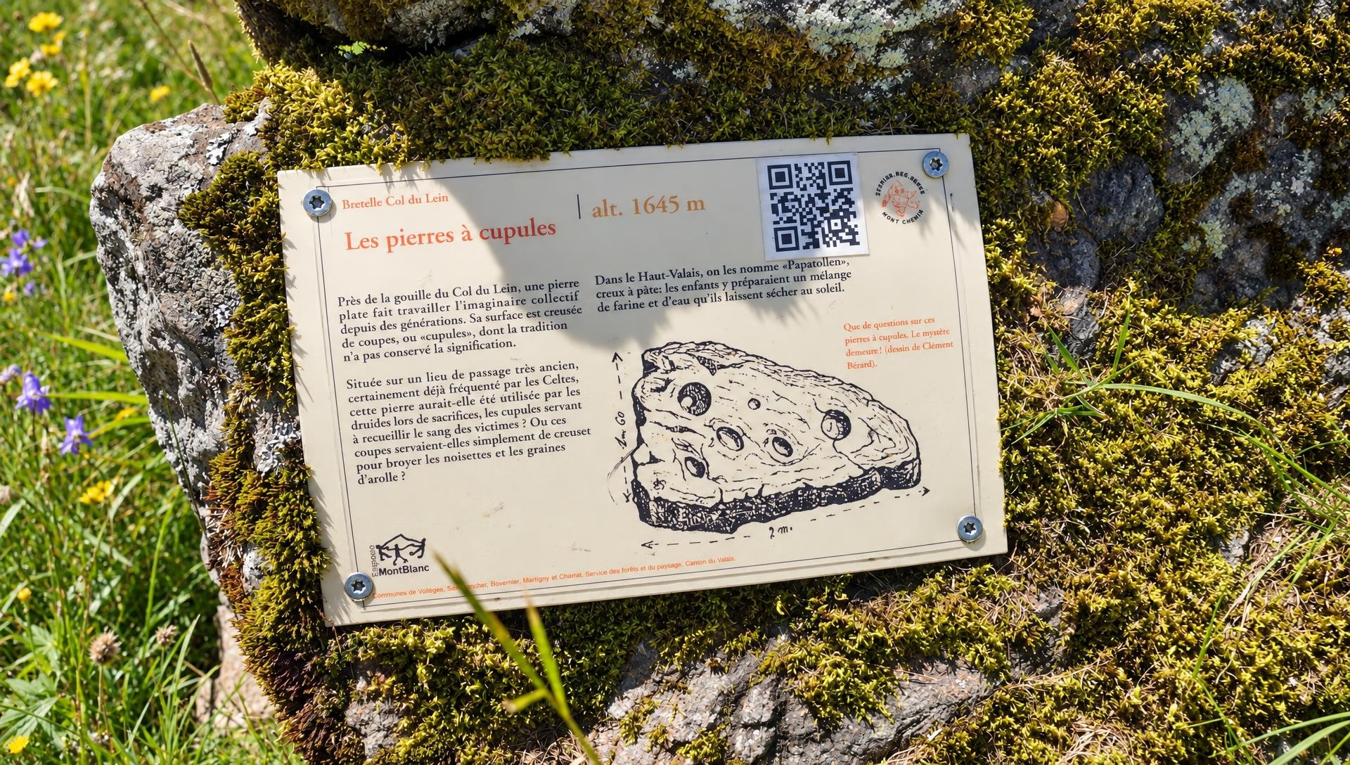 Mont Chemin Mining Trail