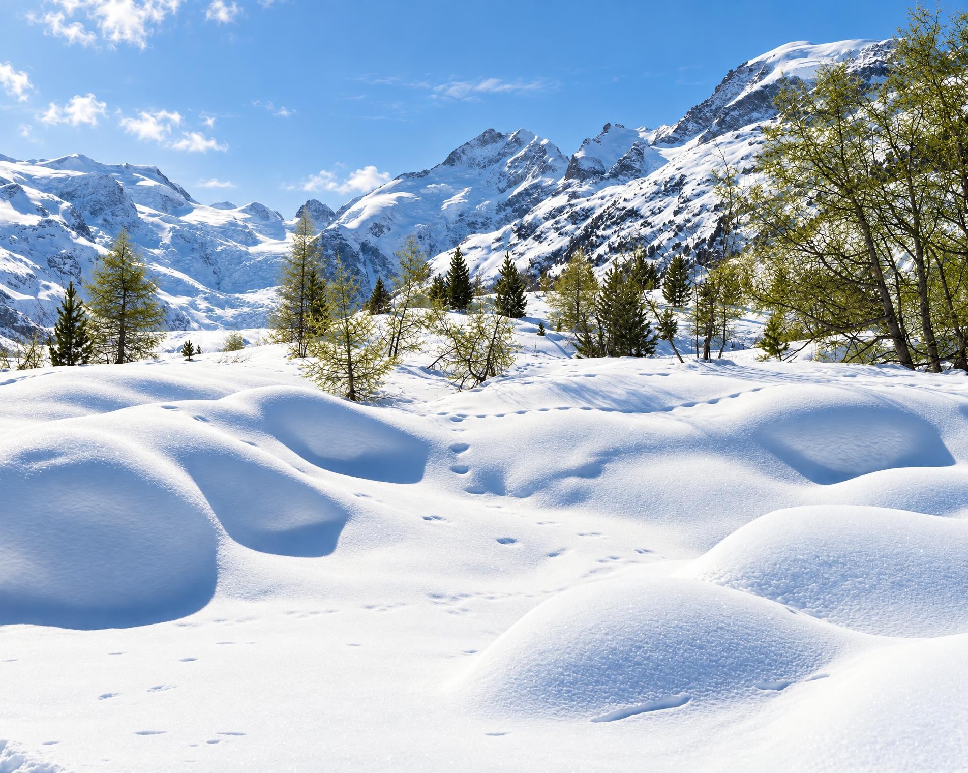 Morteratsch-Winterwanderweg