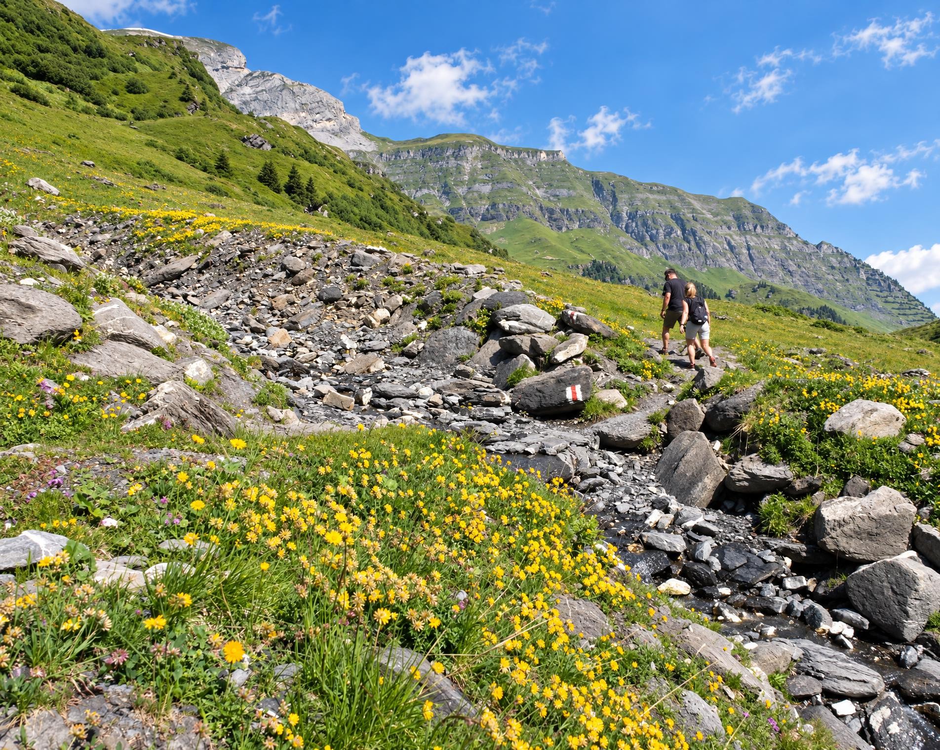 Mountain View Trail
