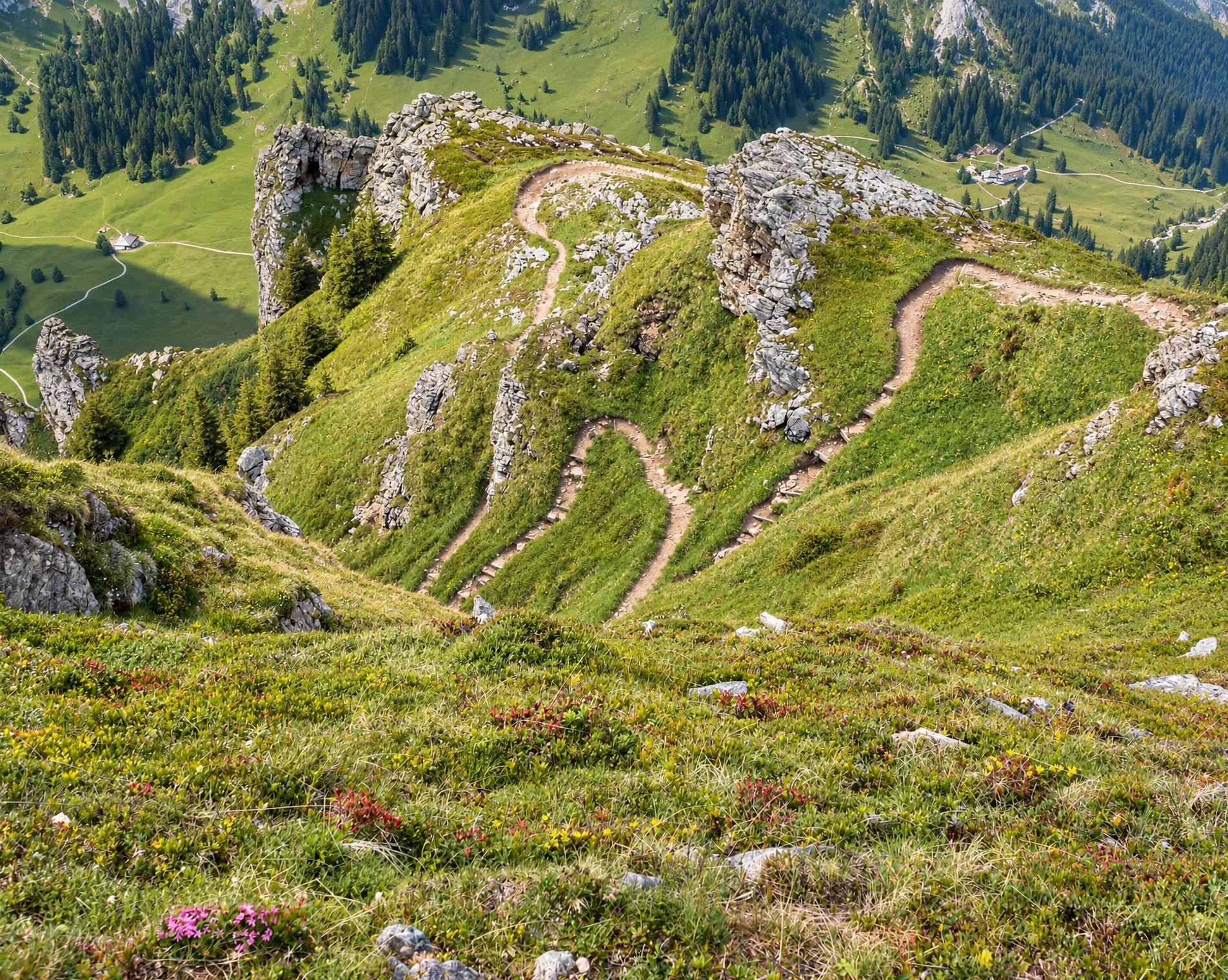 Niederhorn-Panoramaweg