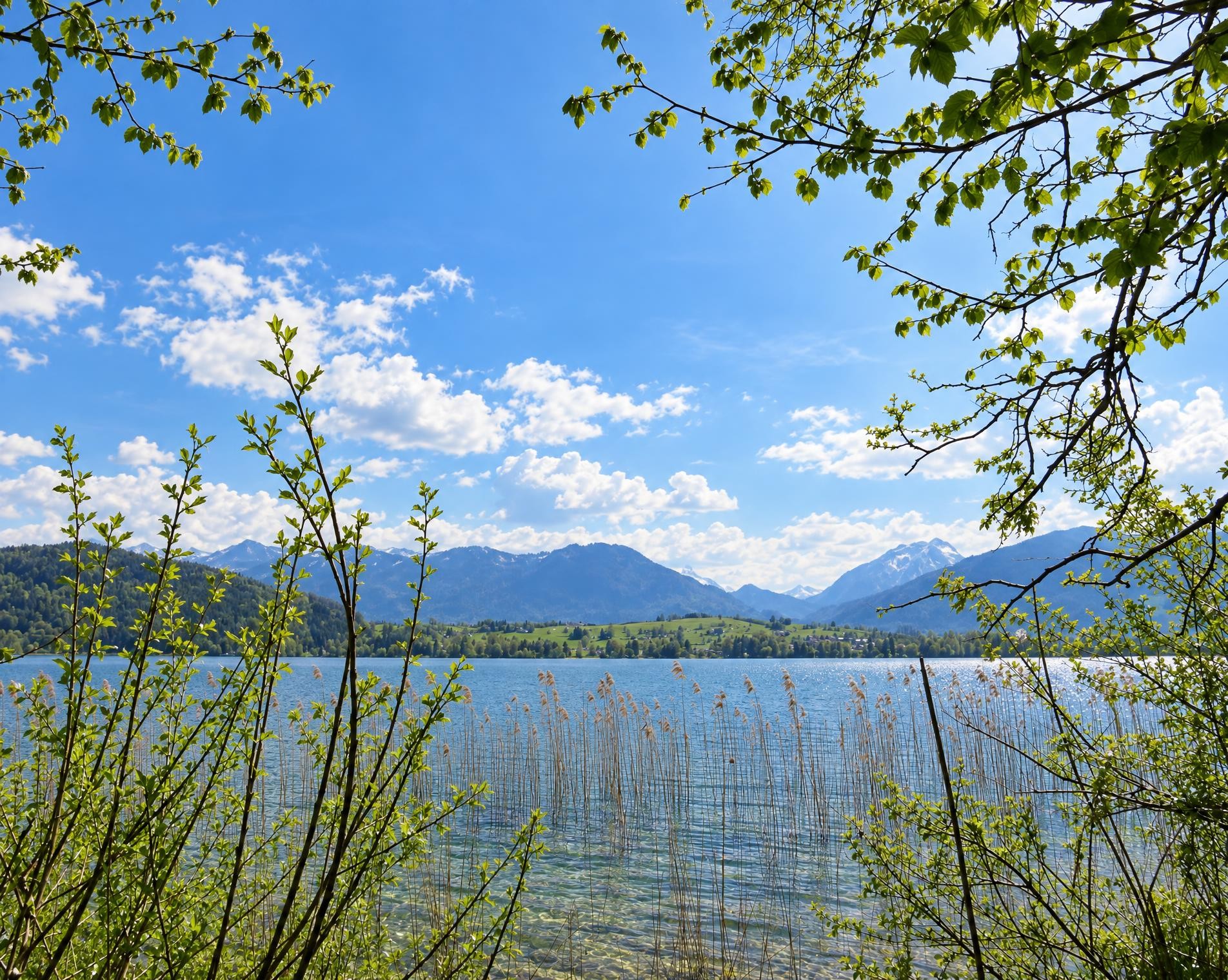 Obersee-Uferweg