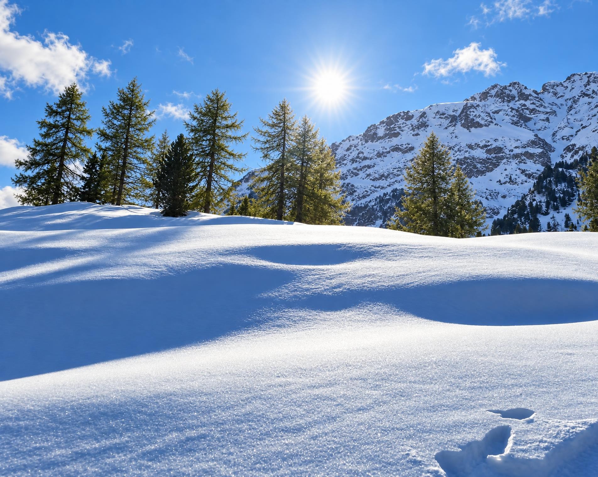 Palpuogna-Schneeschuhtrail
