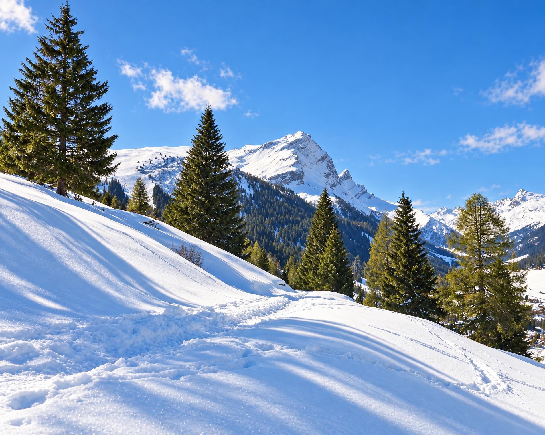 Panell-Schneeschuhtrail