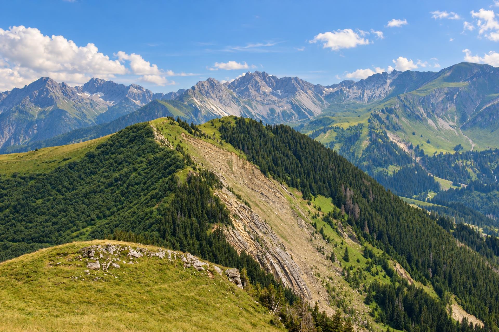 Summer Panorama Trail