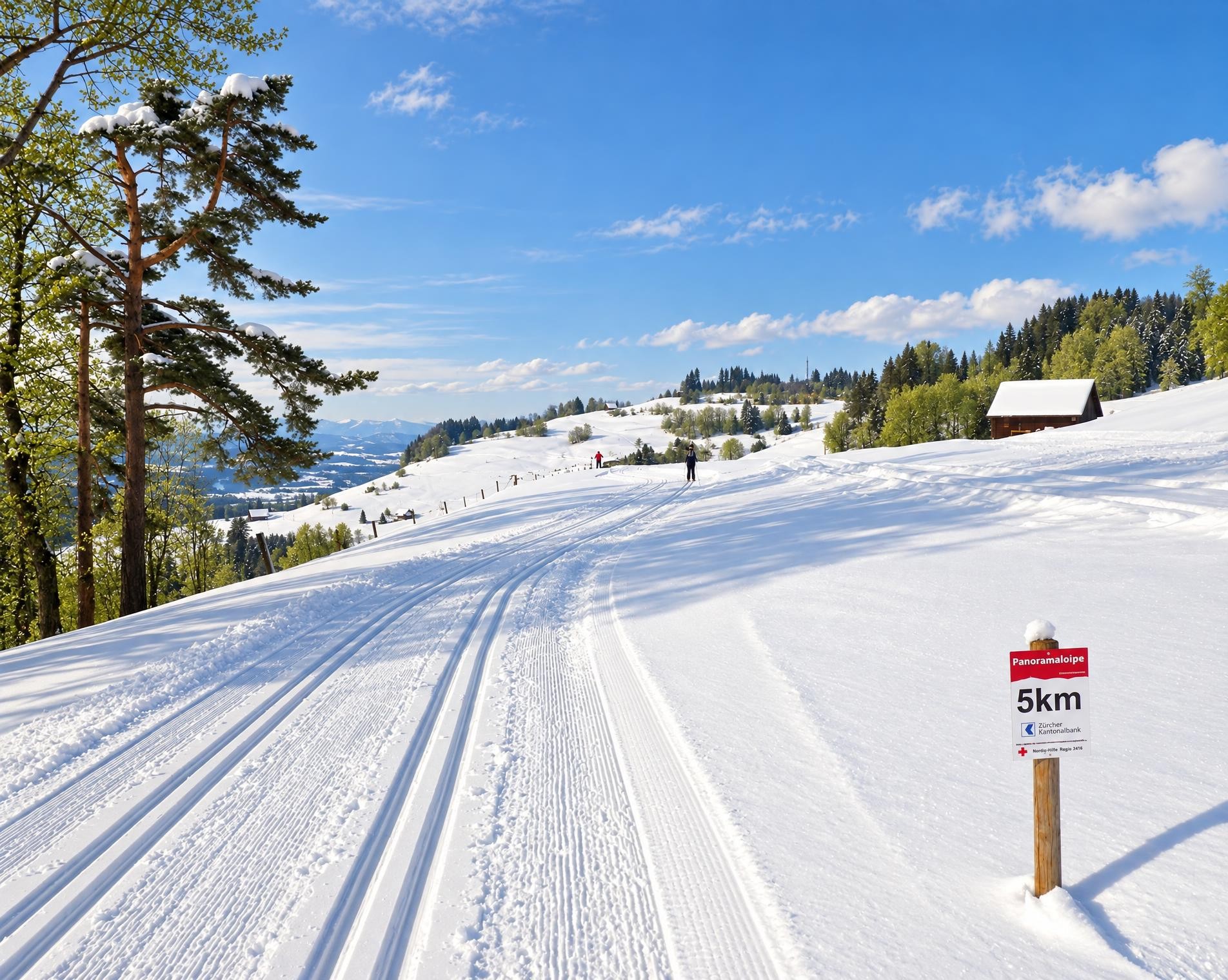Panoramaloipe Wald