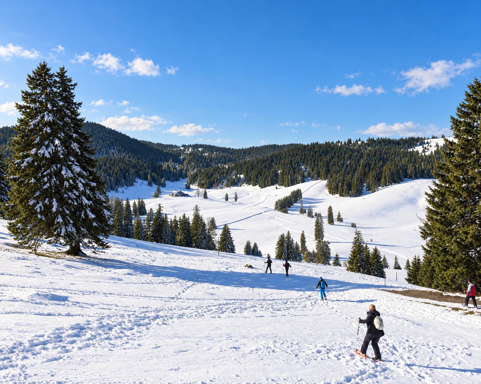 Parcours Col du Mollendruz–Châtel