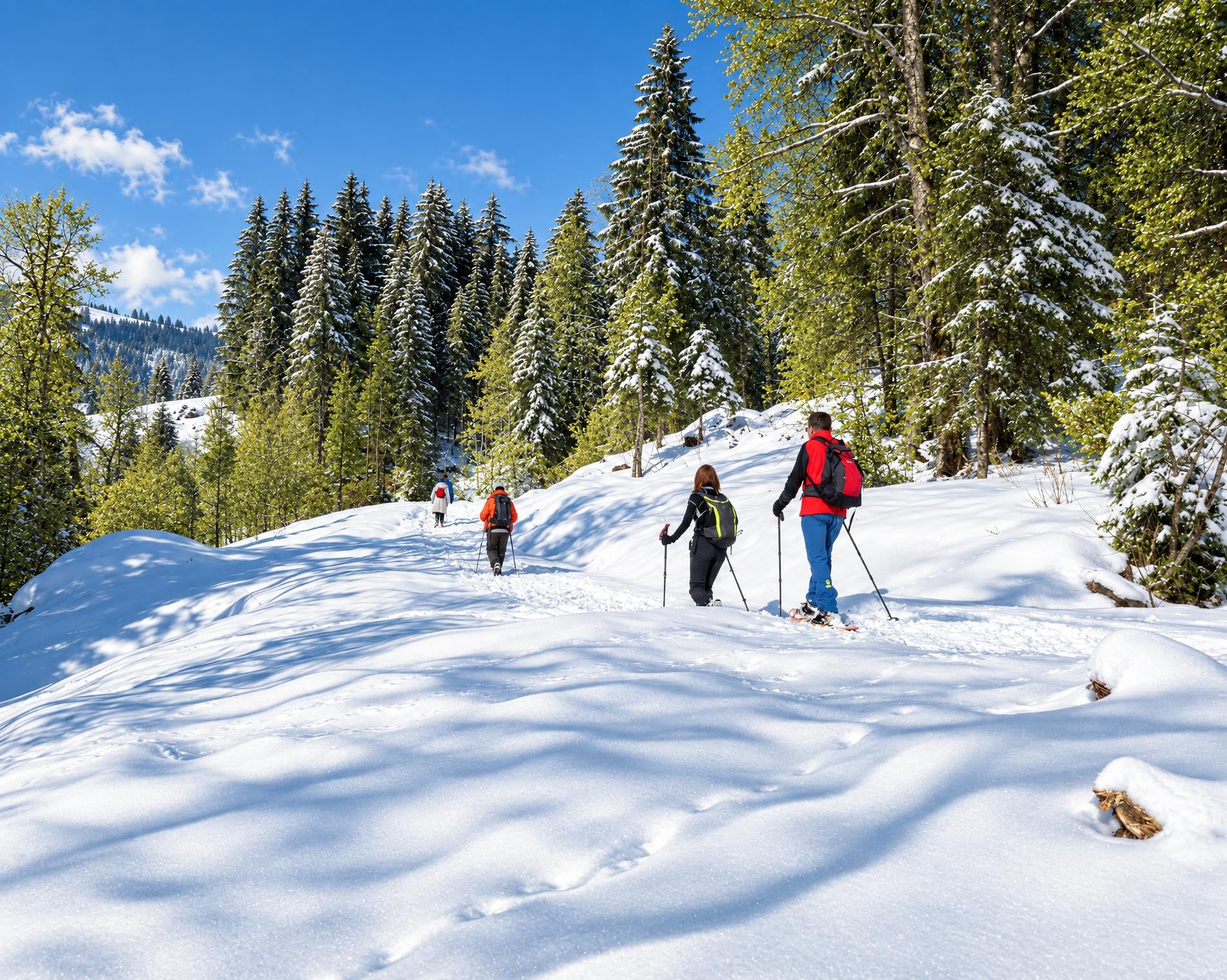 Parcours d'Auta Chia