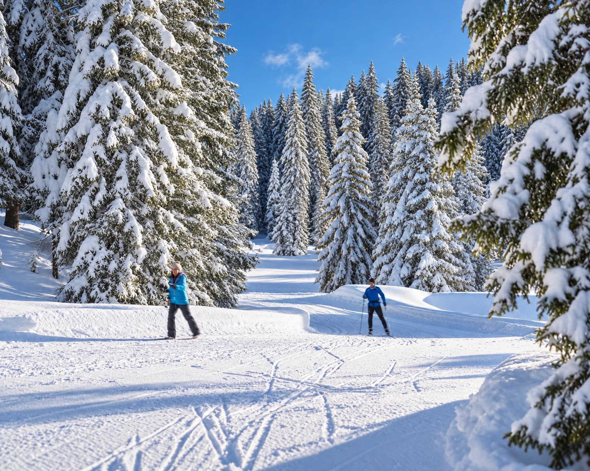 Pista Fracch–Diga